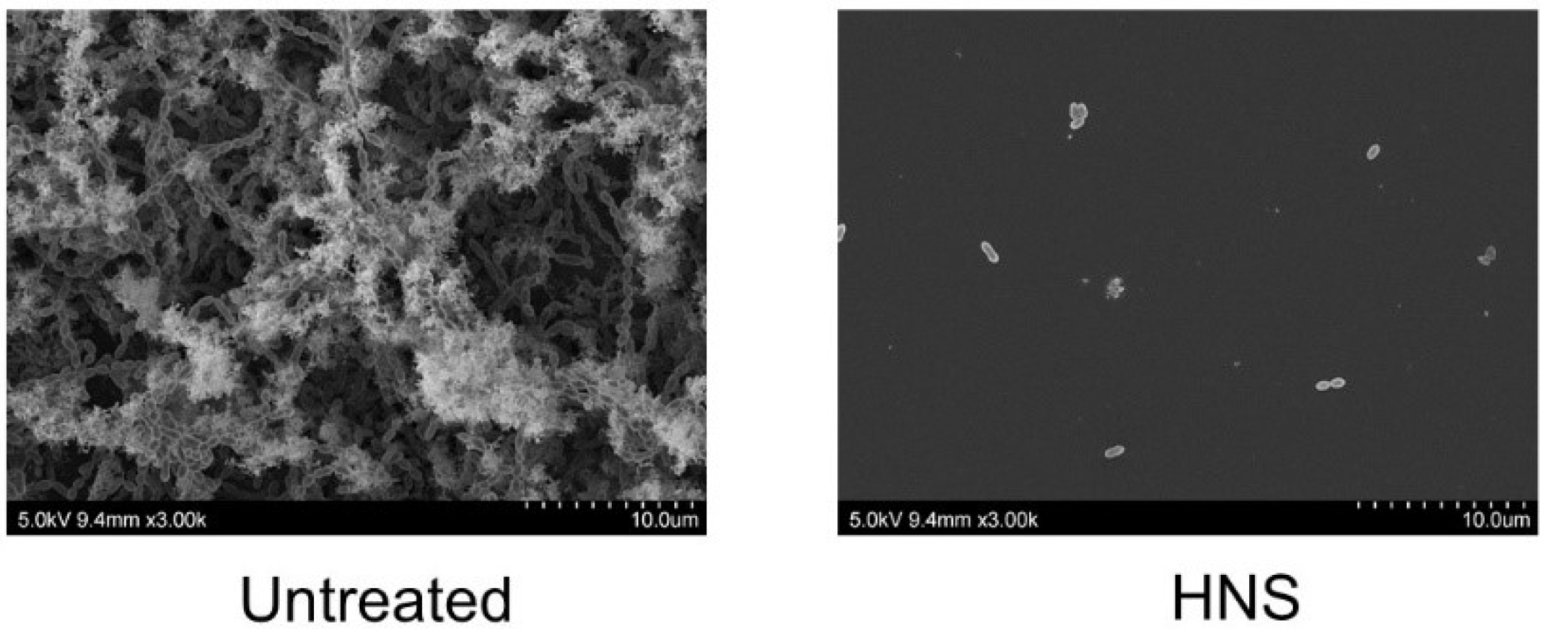 Dentistry 08 00071 g004