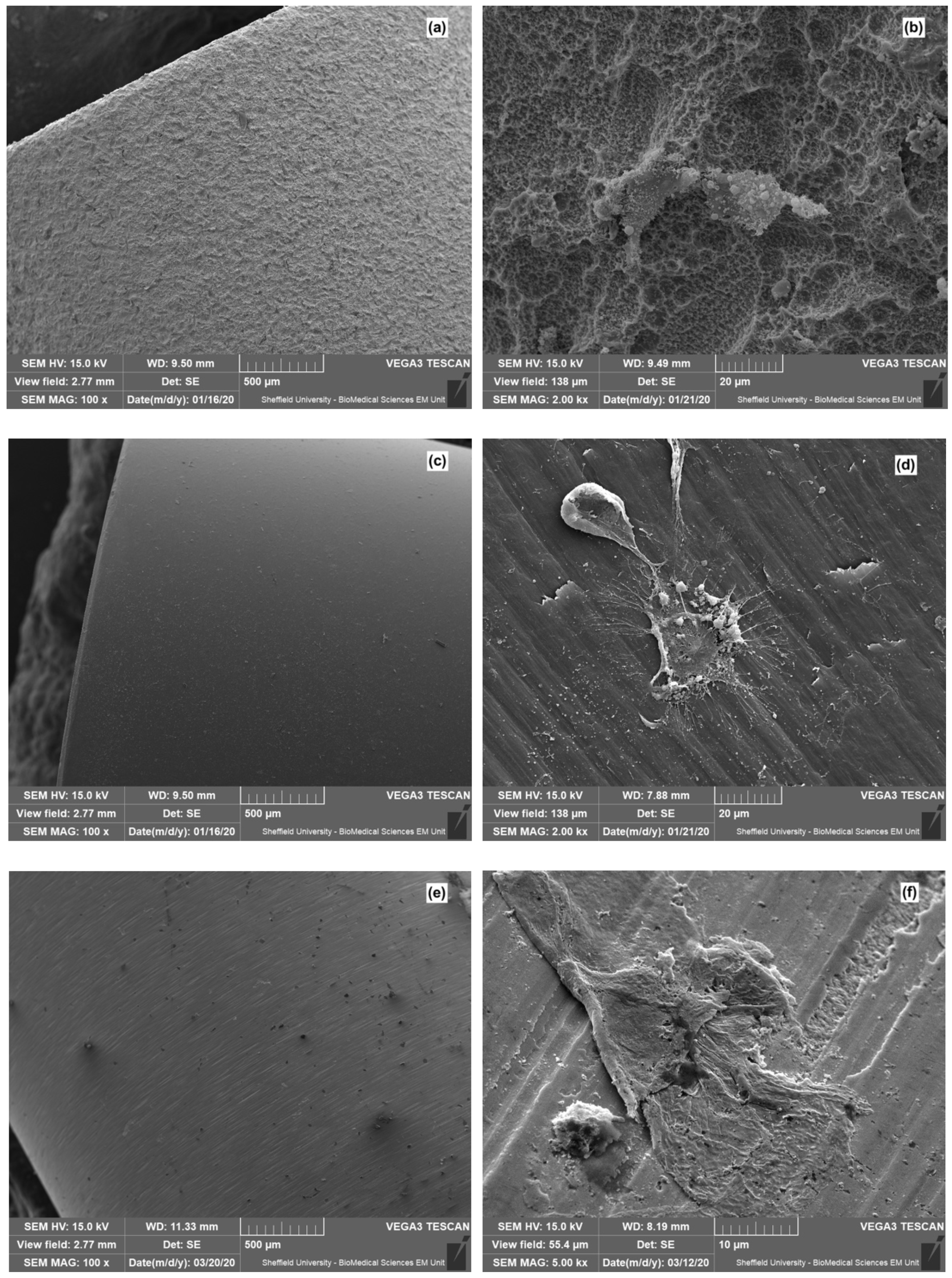 Dentistry 08 00072 g005a