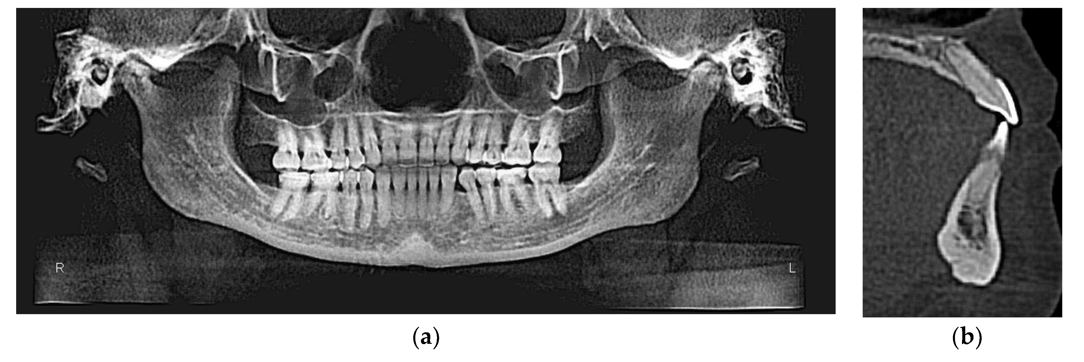 Dentistry 08 00075 g010