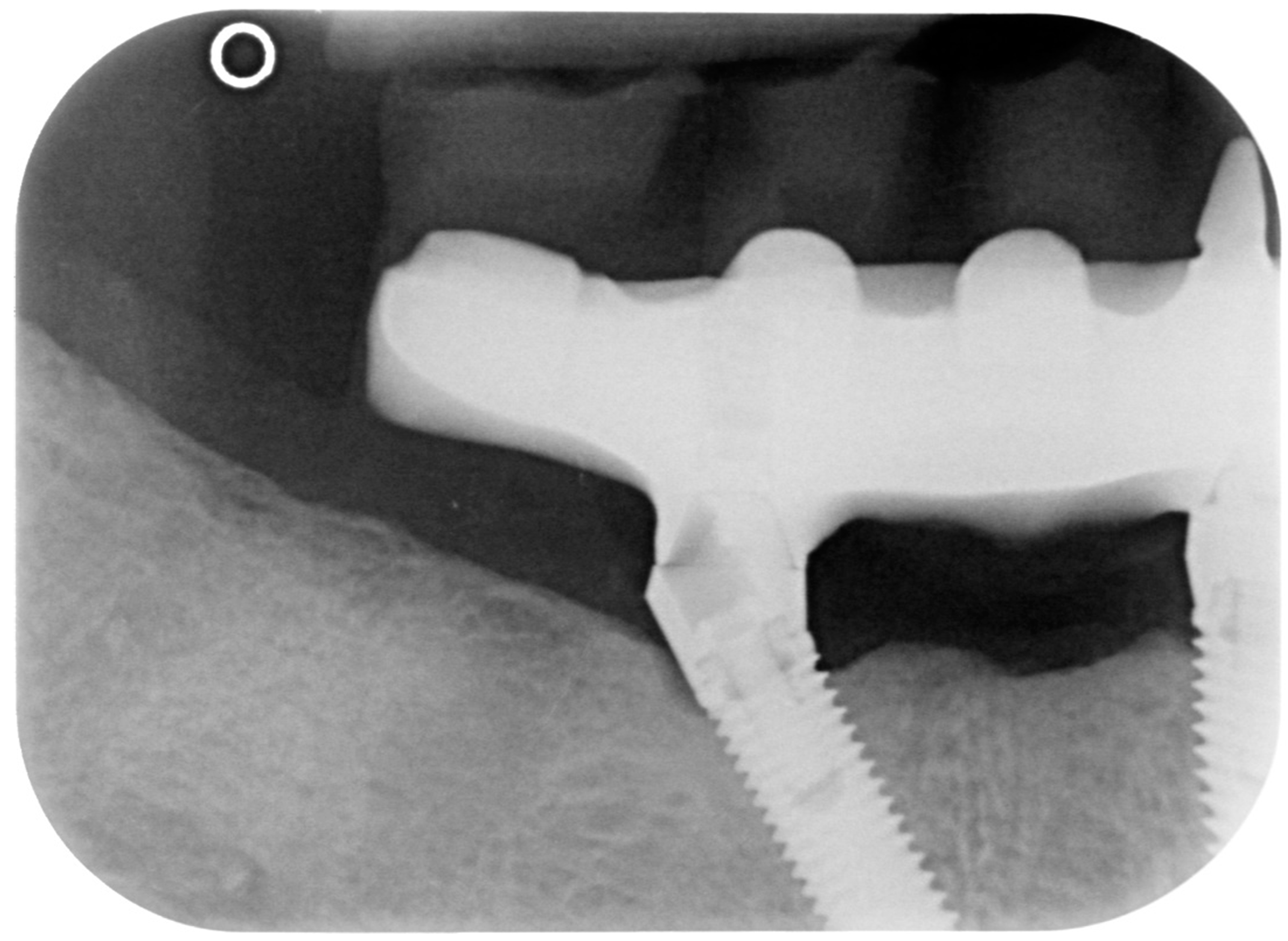 Dentistry 08 00078 g014 Dentistry 08 00078 g014