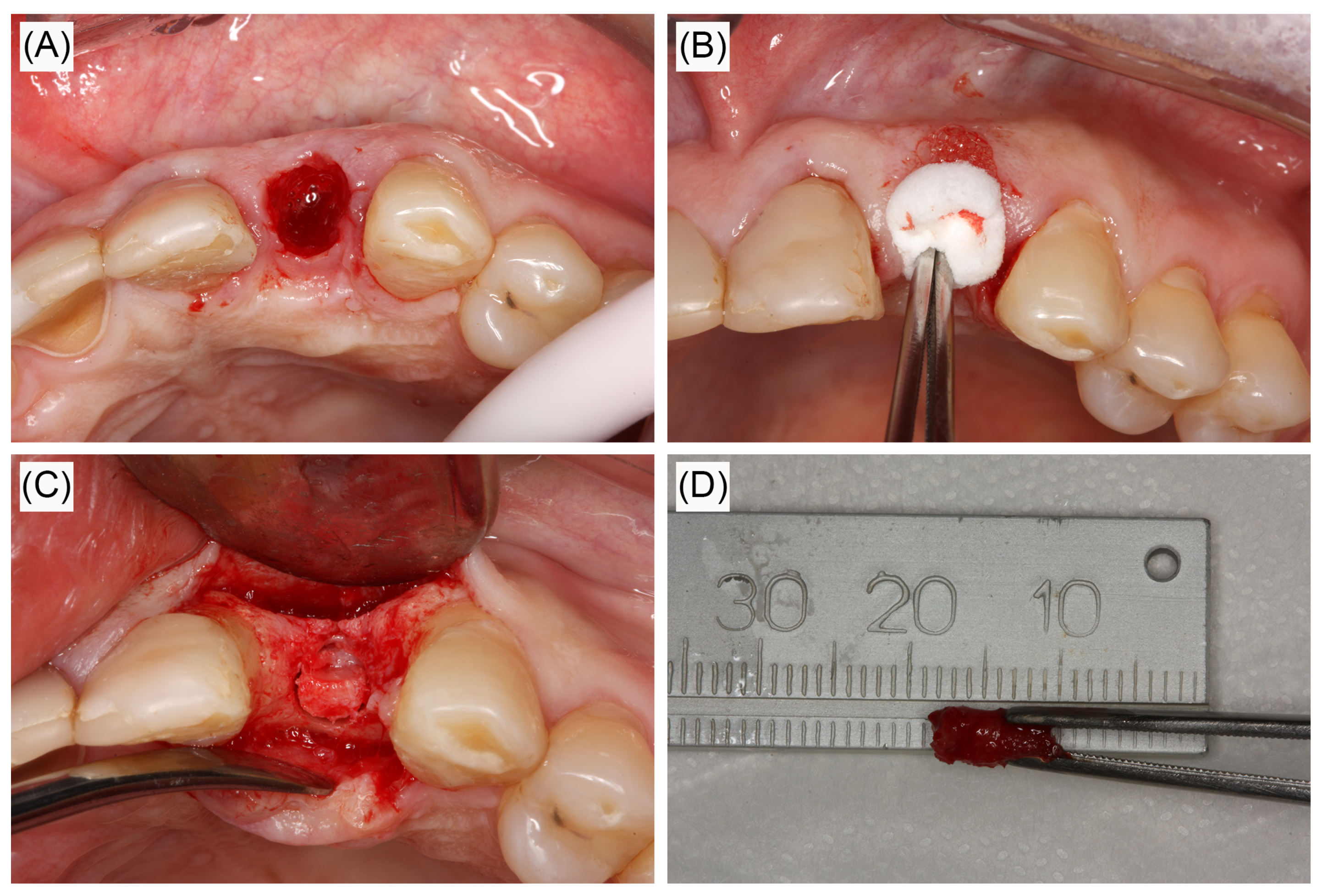 Dentistry 08 00086 g002