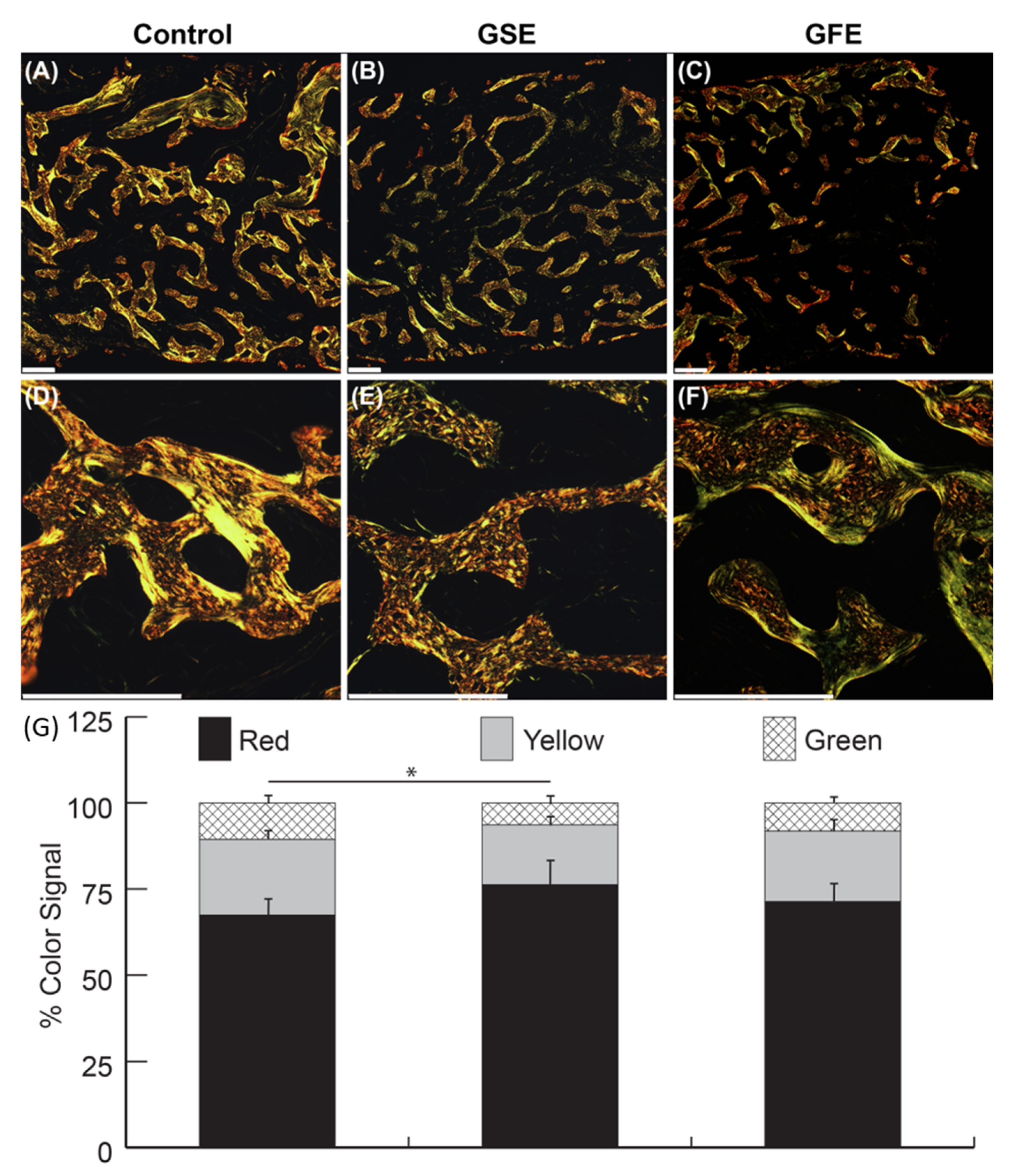 Dentistry 08 00086 g005