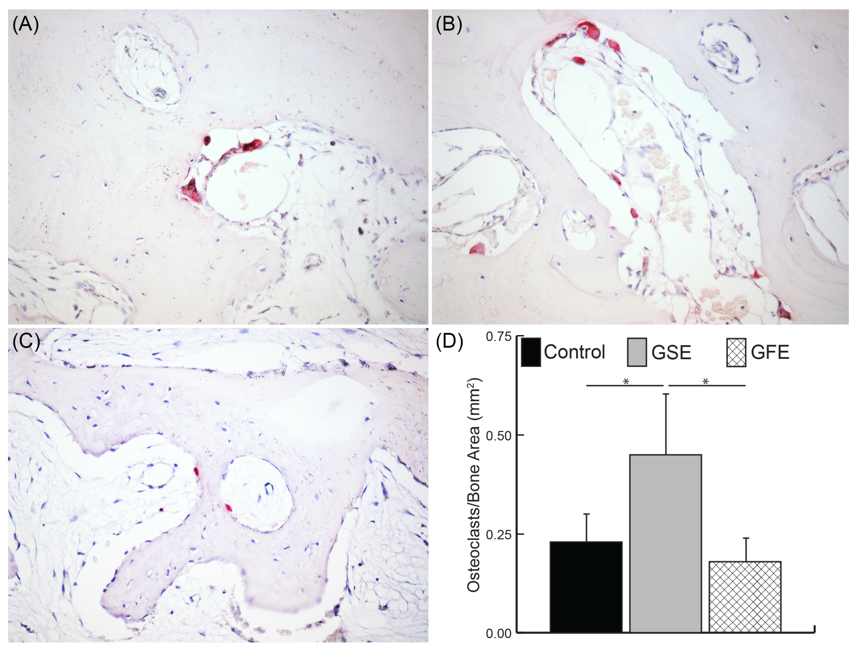 Dentistry 08 00086 g006