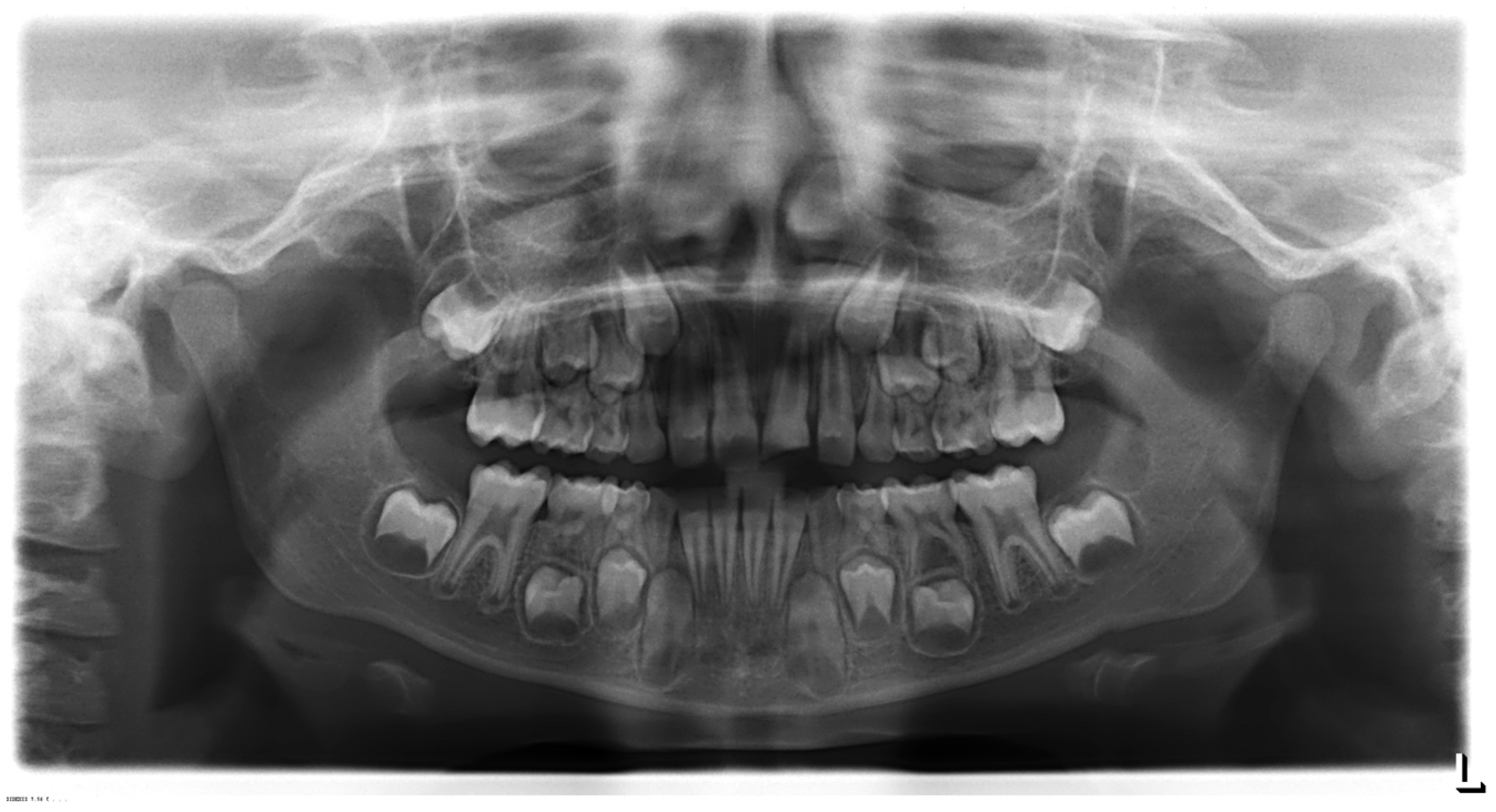 Dentistry 08 00094 g002