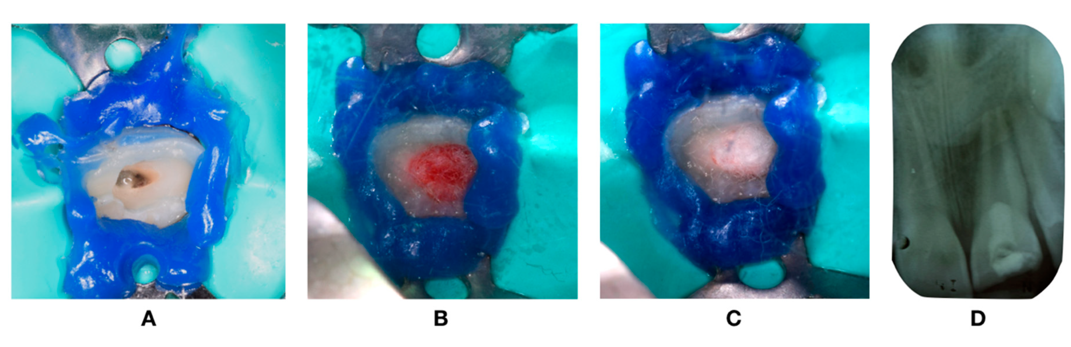 Dentistry 08 00094 g003