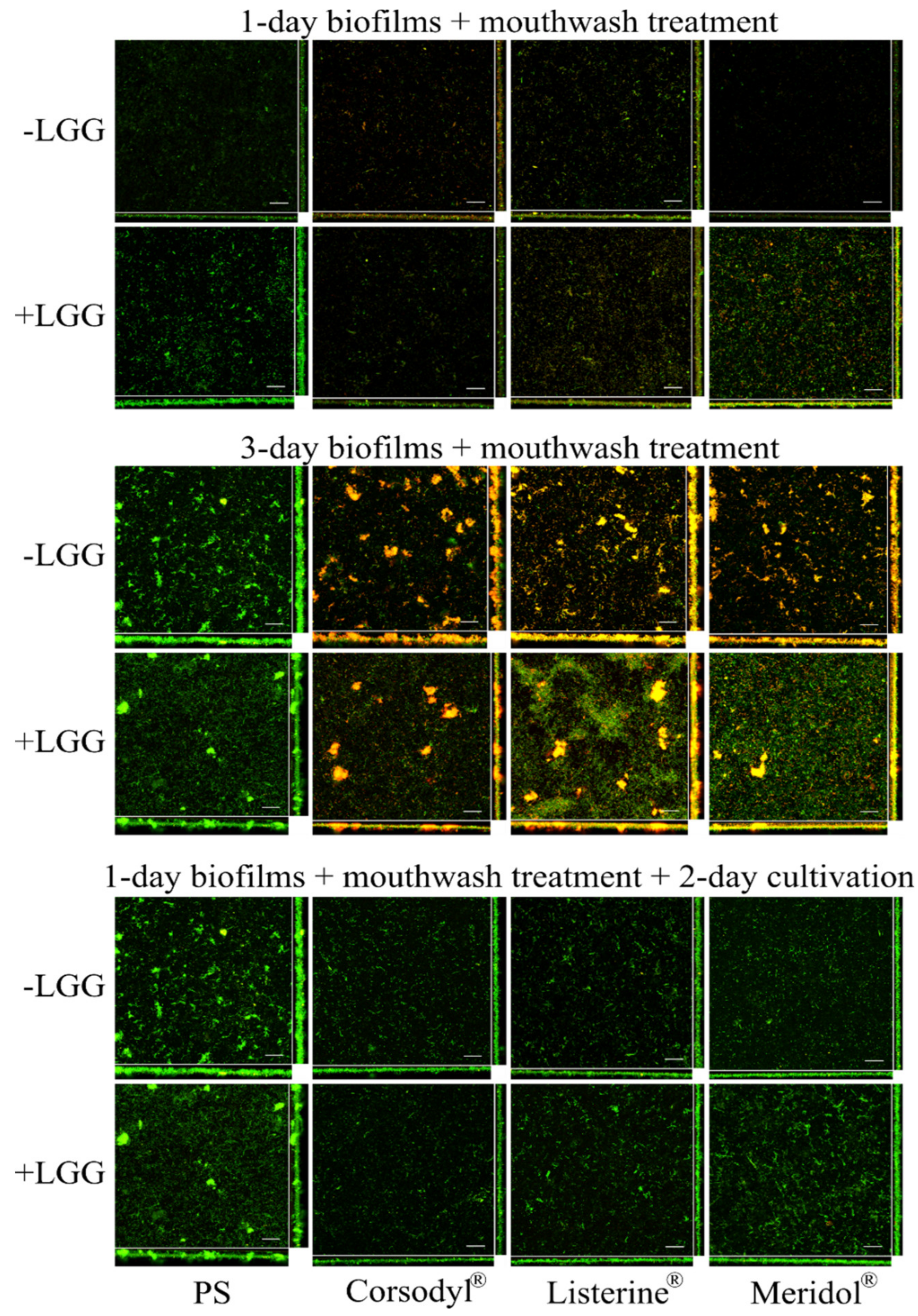 Dentistry 08 00096 g004