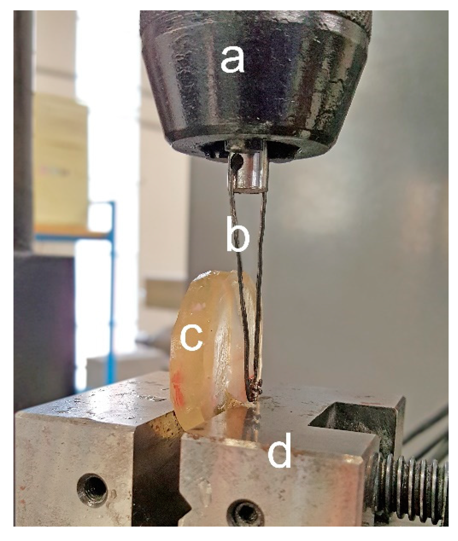 Dentistry 08 00108 g002