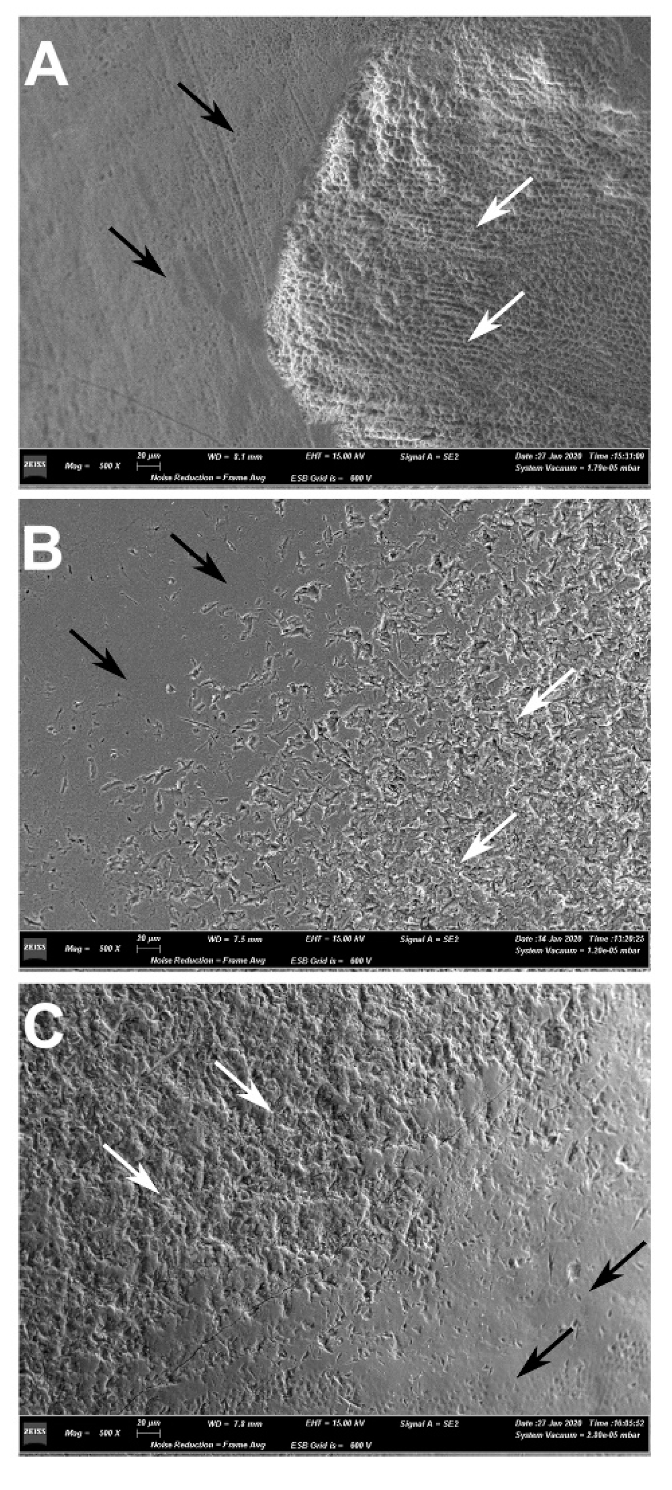 Dentistry 08 00108 g004