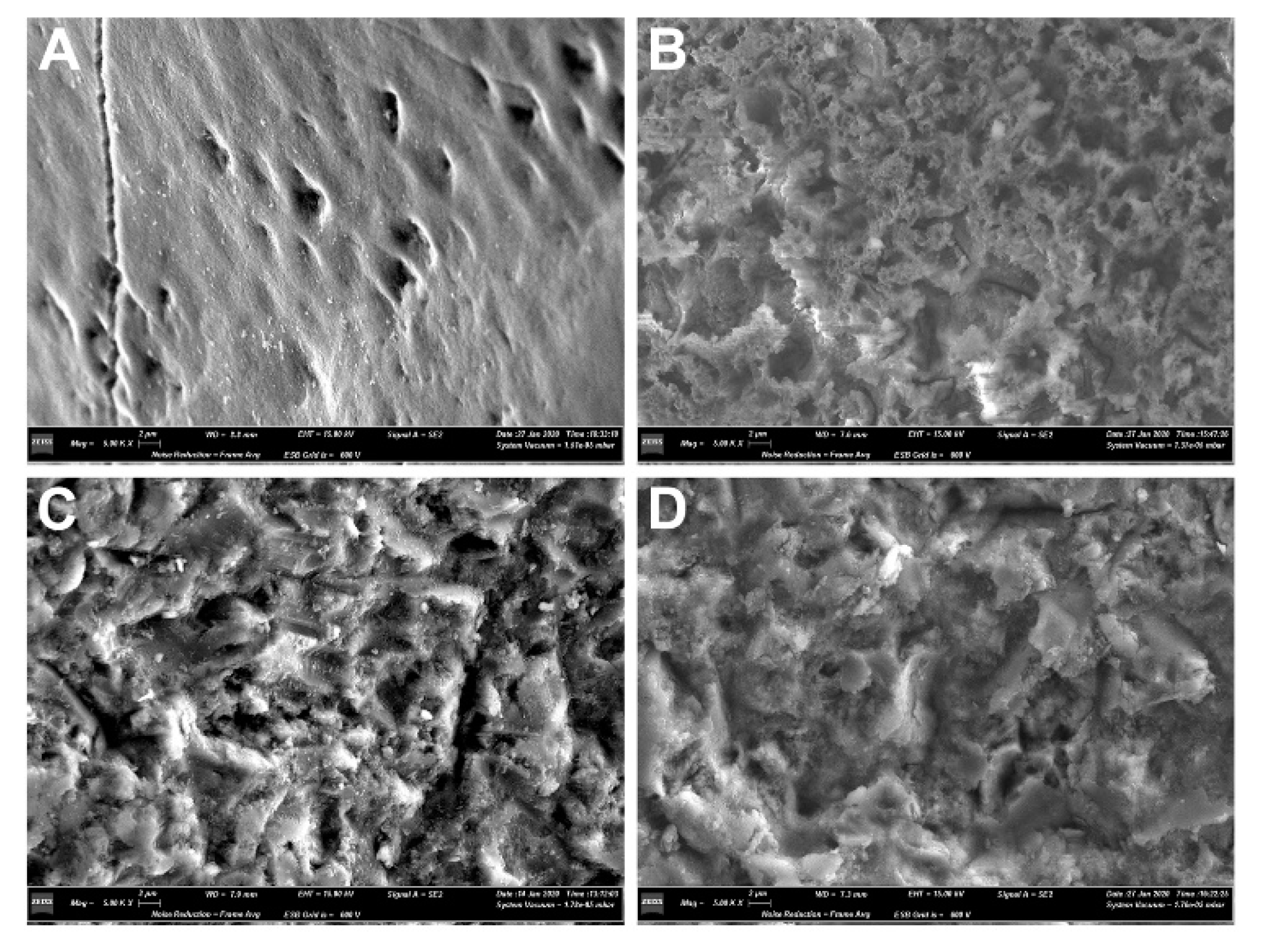 Dentistry 08 00108 g005