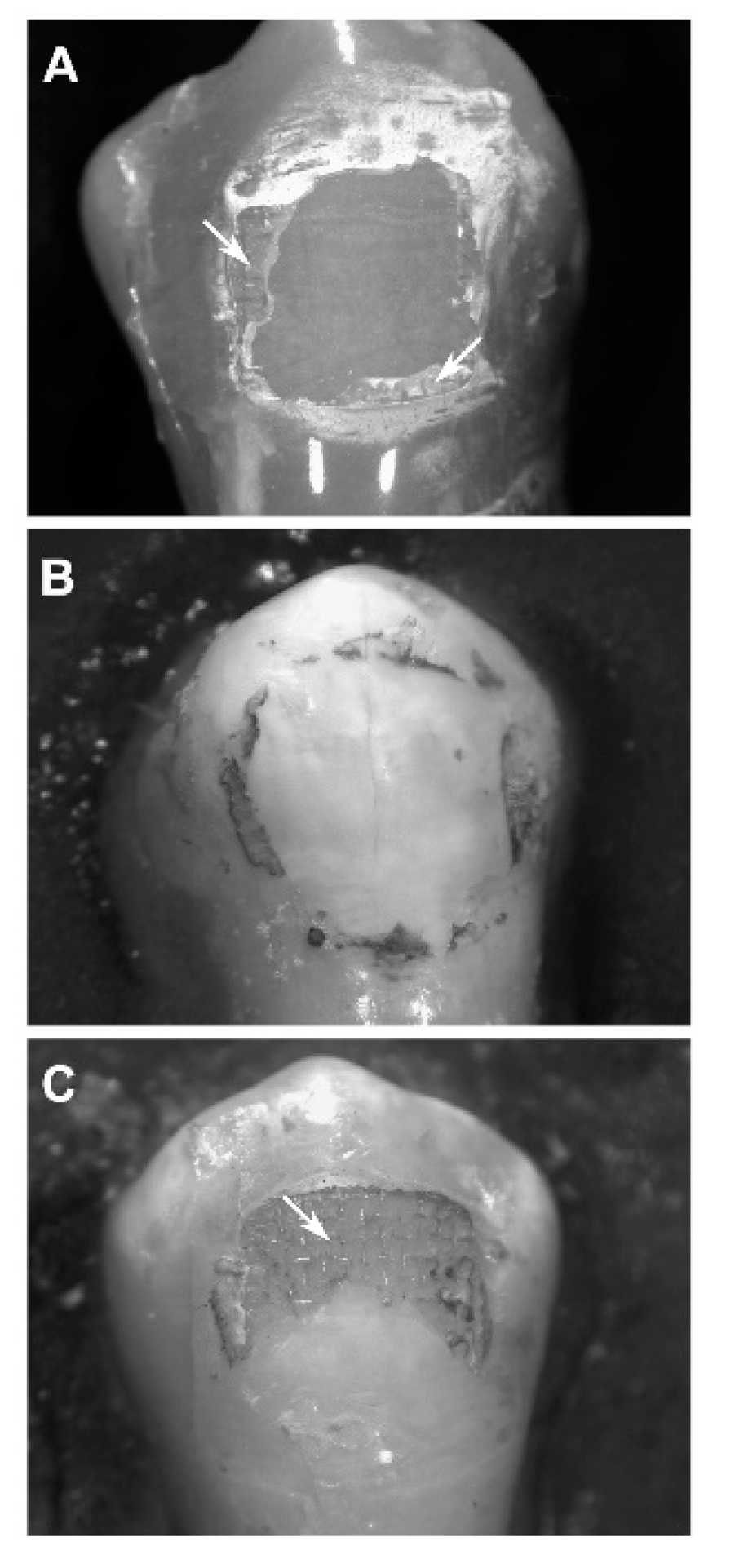Dentistry 08 00108 g007