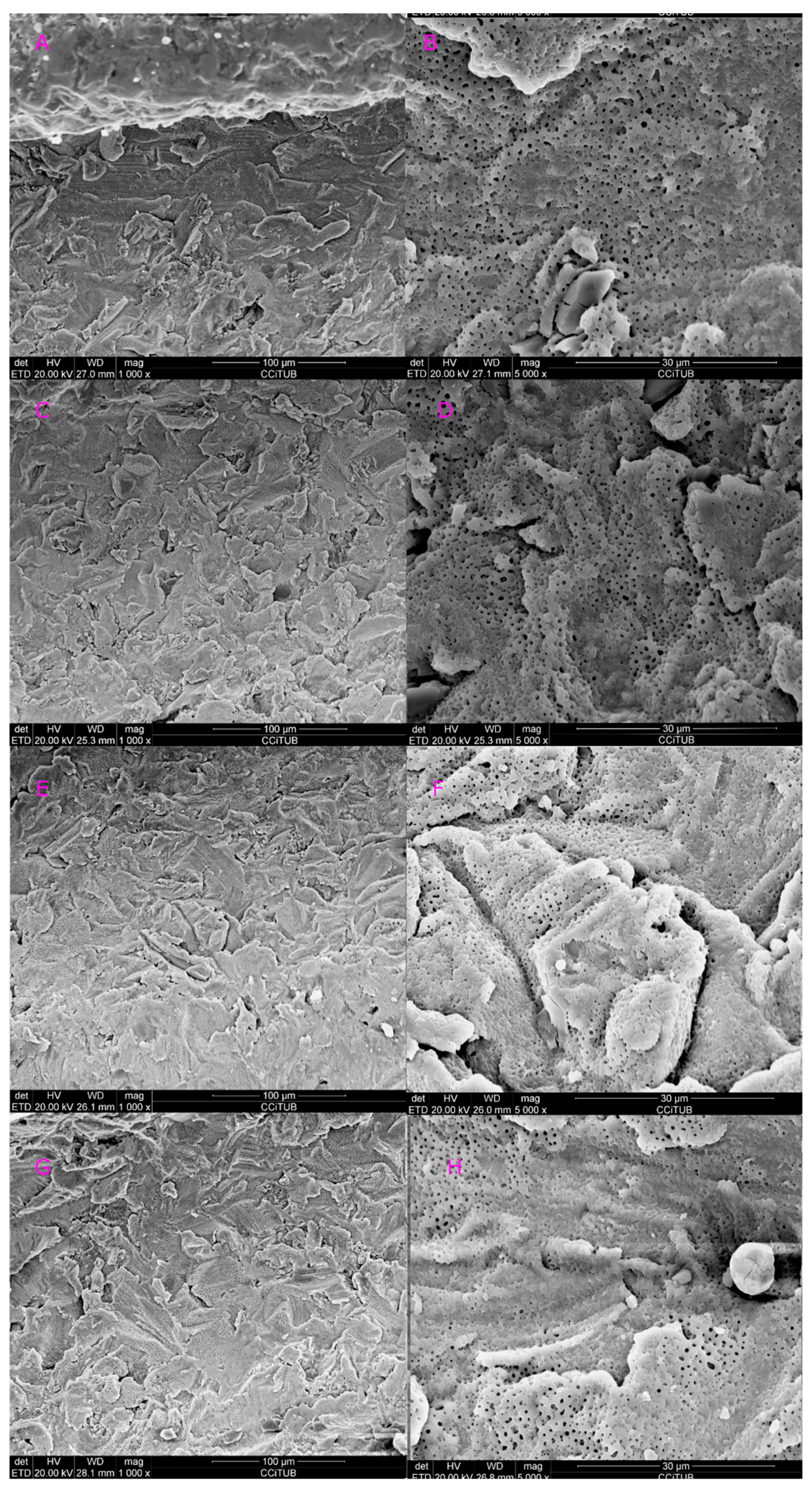 Dentistry 08 00109 g003 Dentistry 08 00109 g003