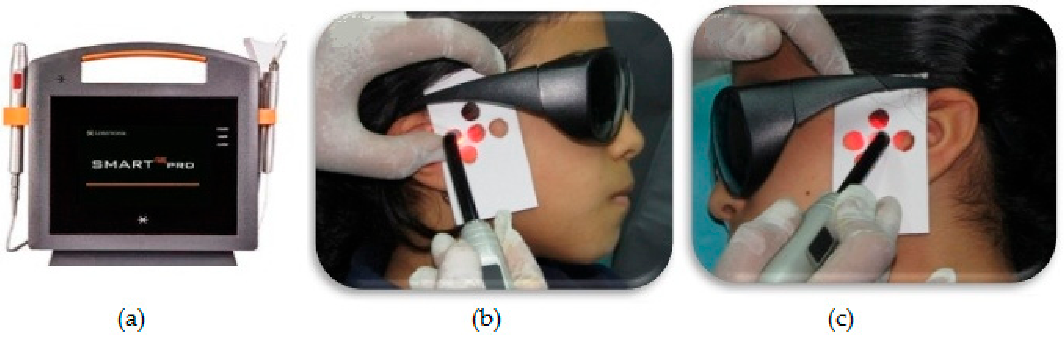 Dentistry 08 00115 g001