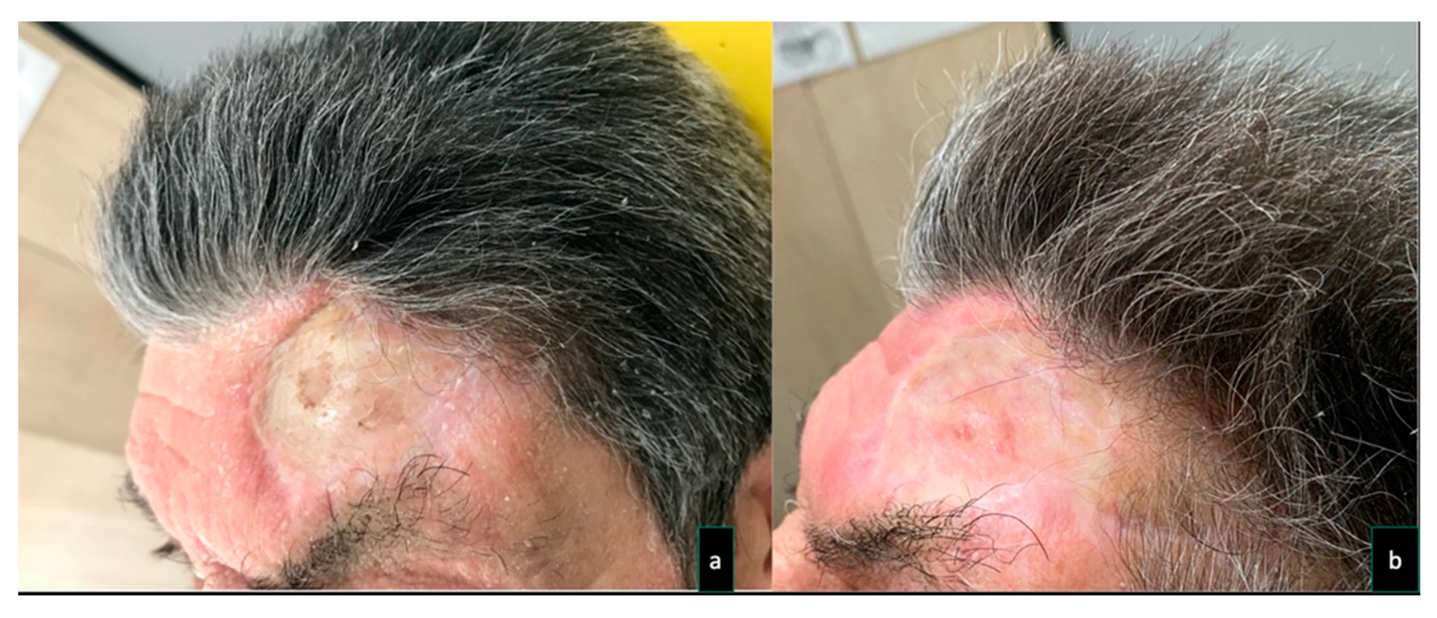 Dentistry 08 00117 g002