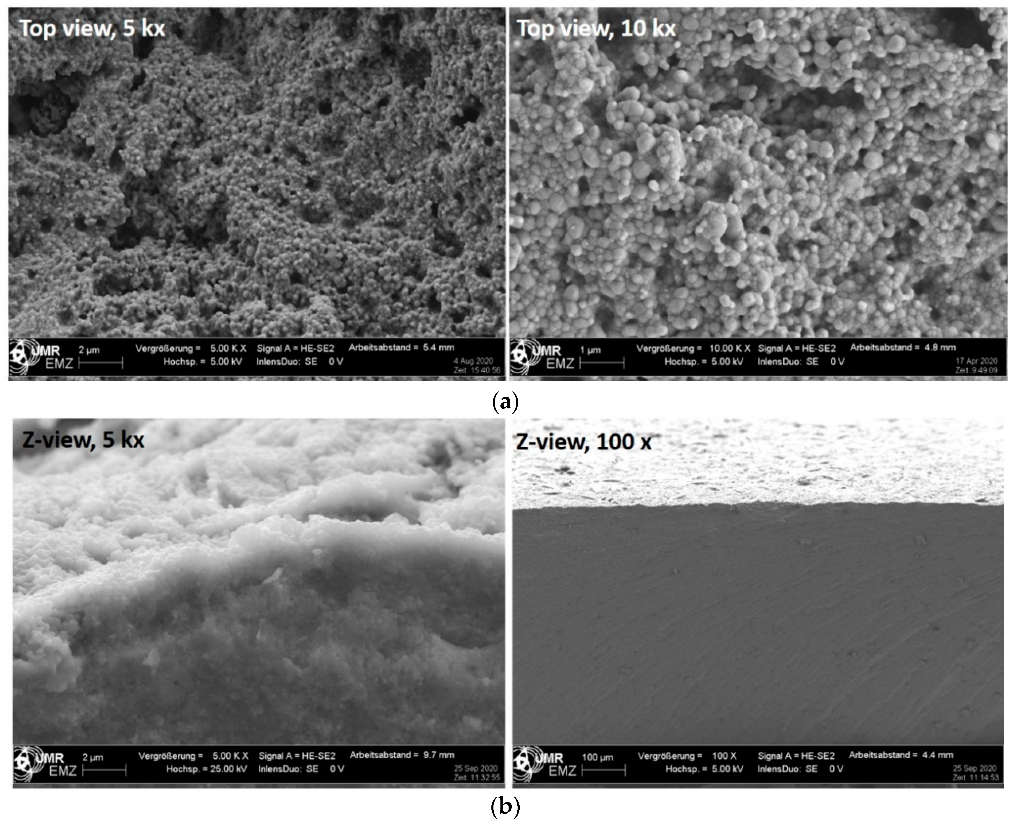 Dentistry 08 00127 g001