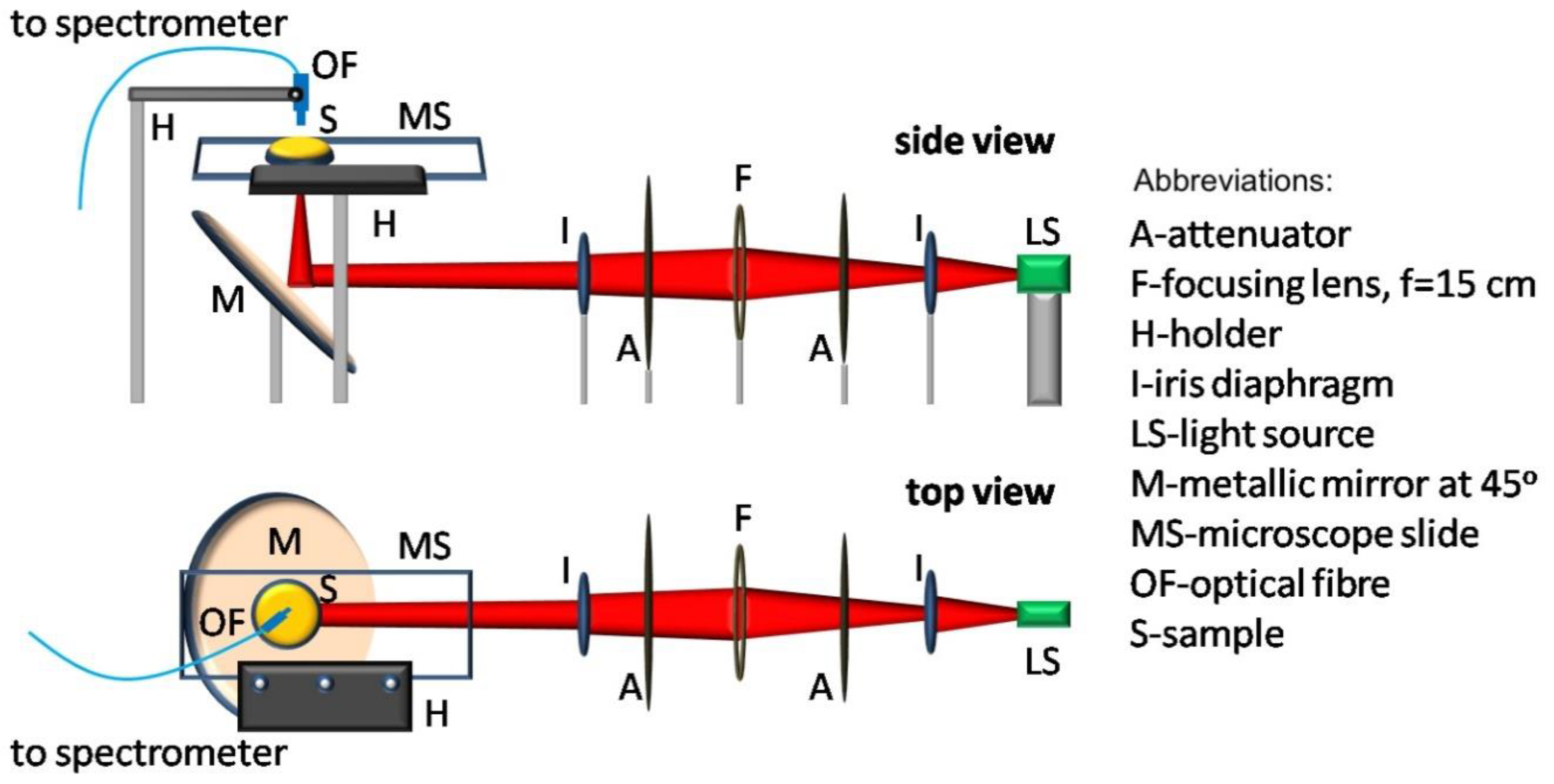 Dentistry 08 00137 g001
