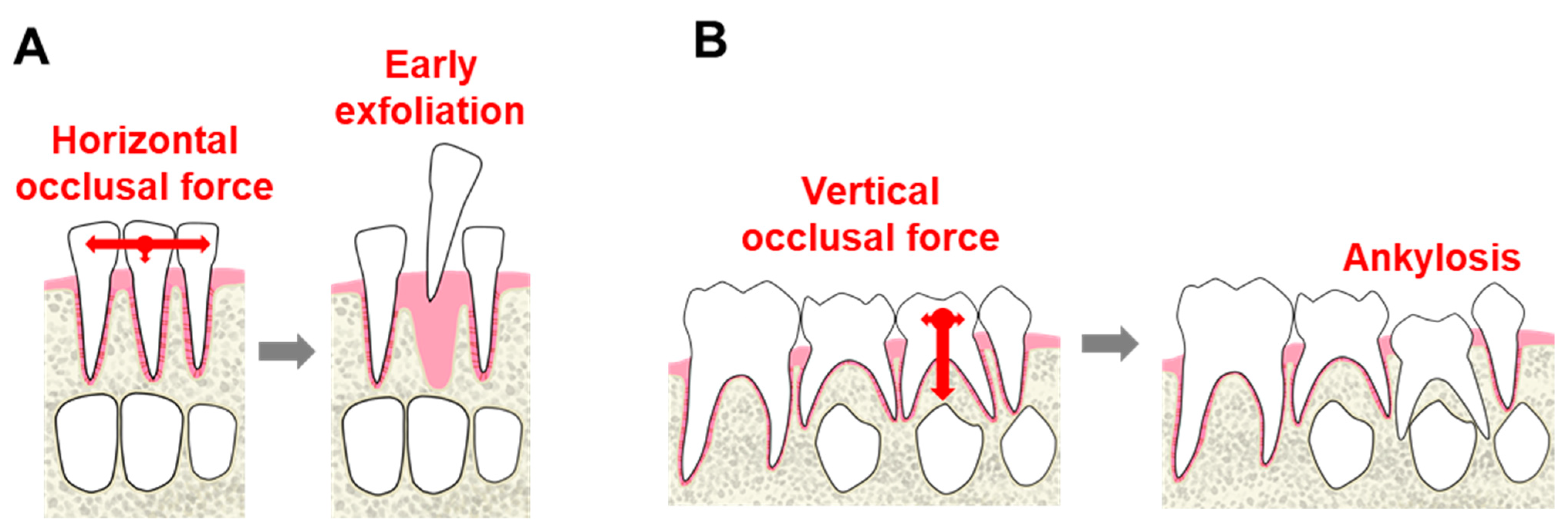 Dentistry 09 00003 g003