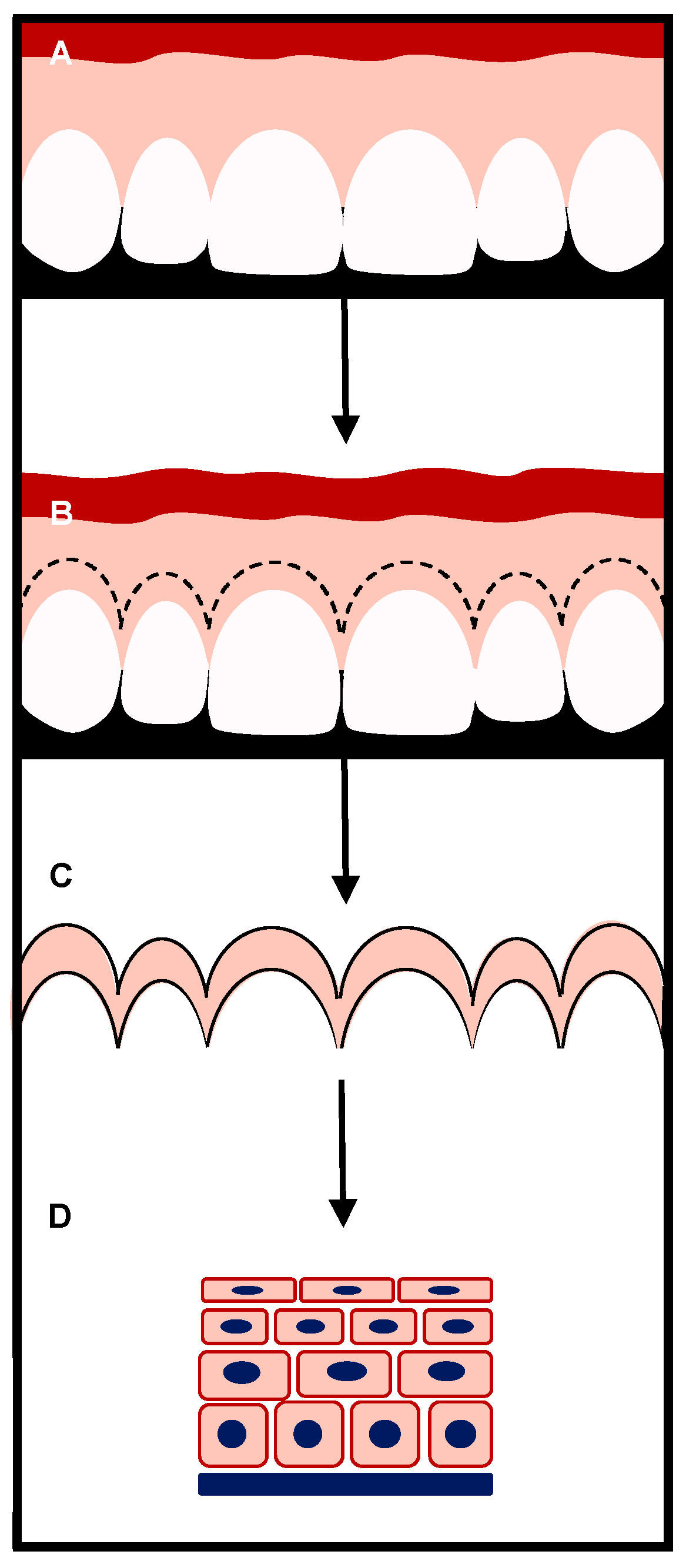 Dentistry 09 00029 g001
