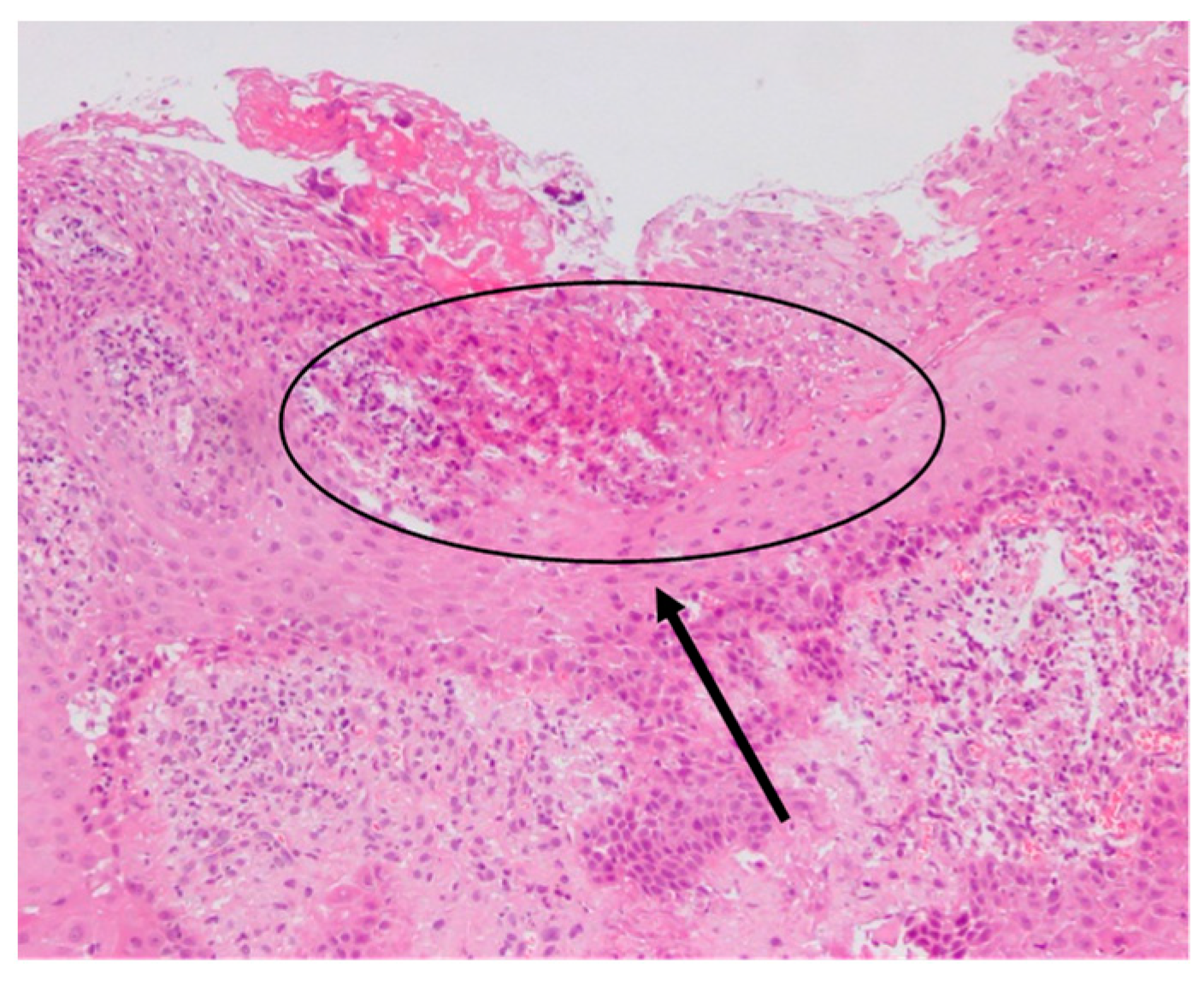 Dentistry 09 00029 g003