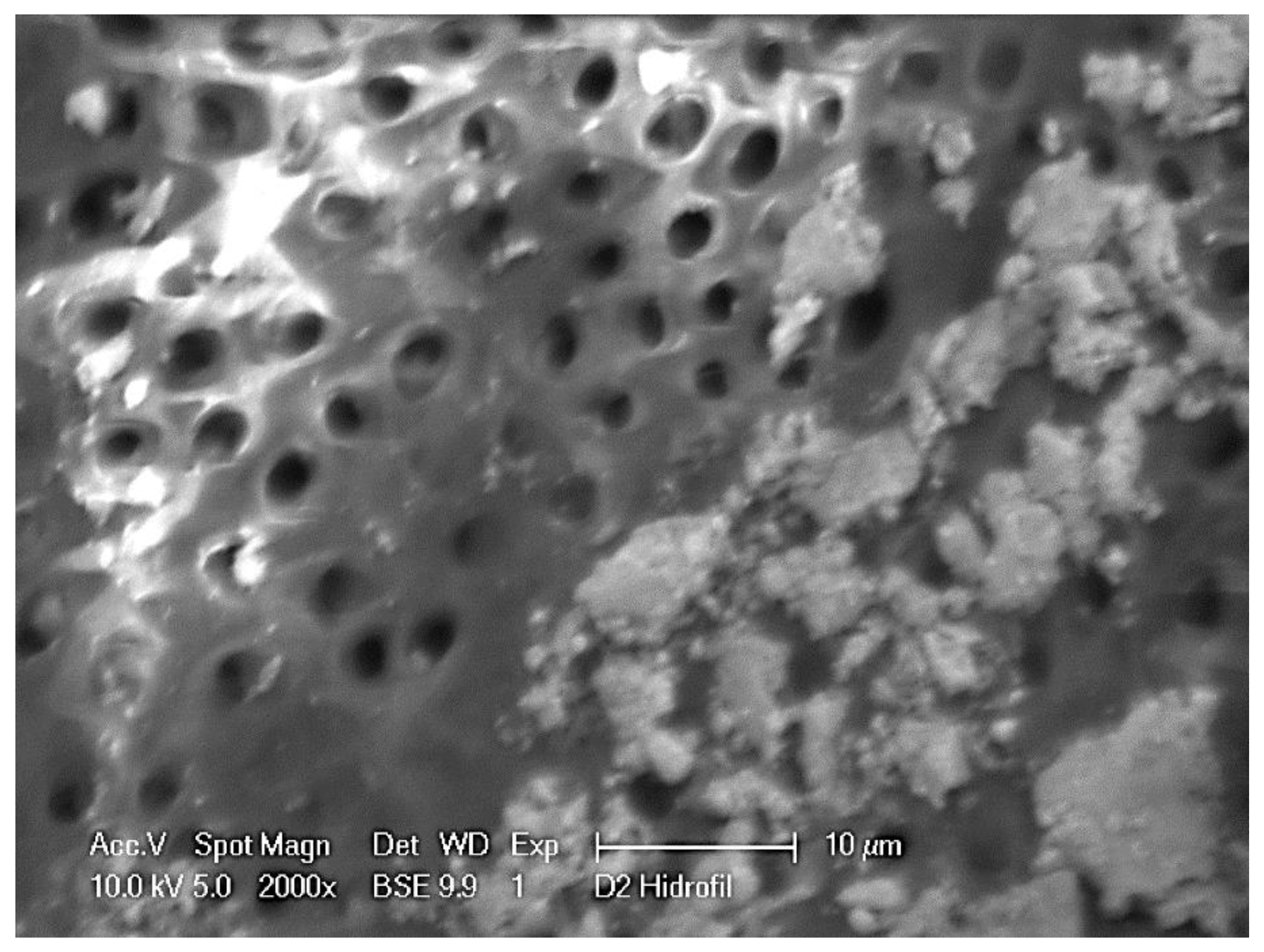 Dentistry 09 00041 g002