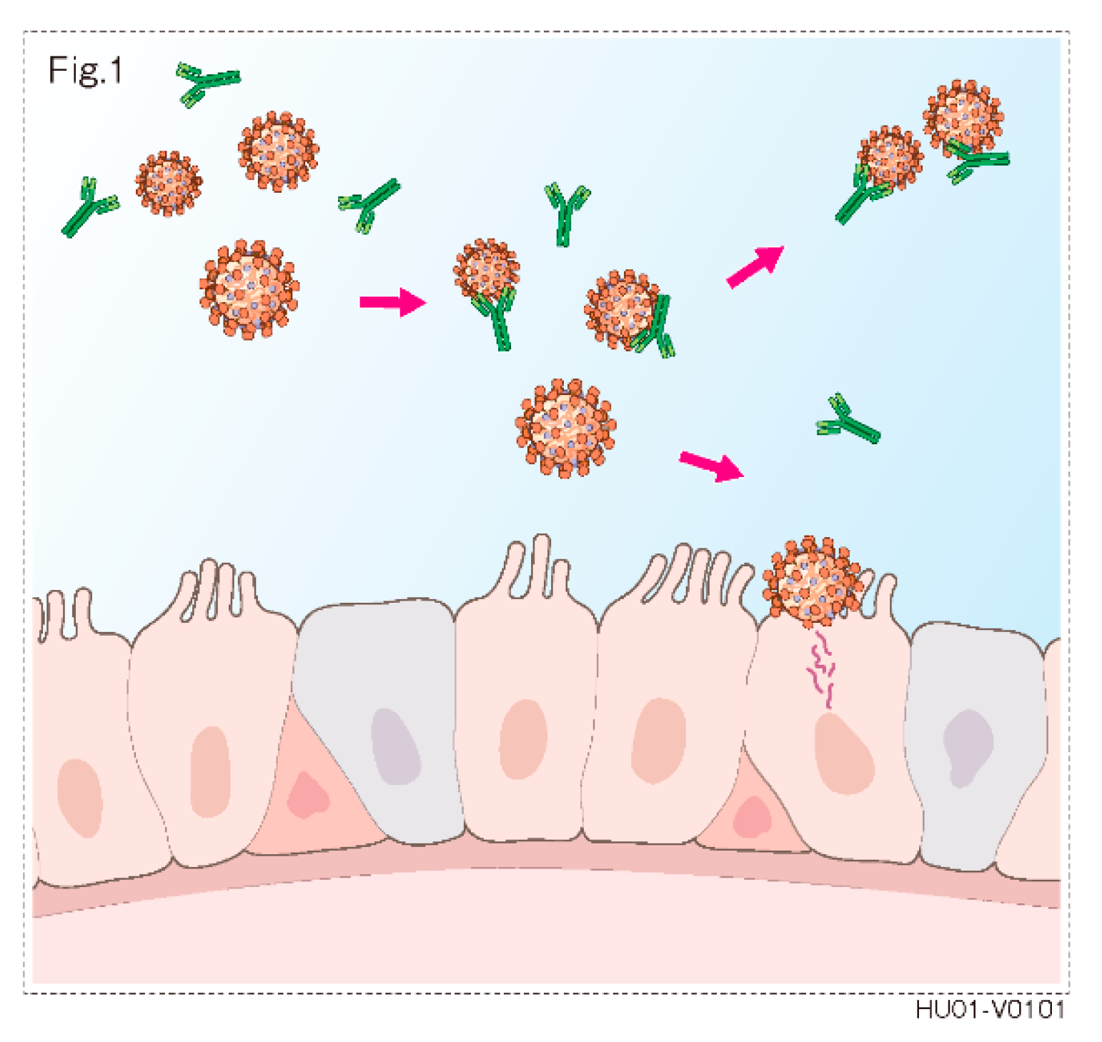 Dentistry 09 00043 g001