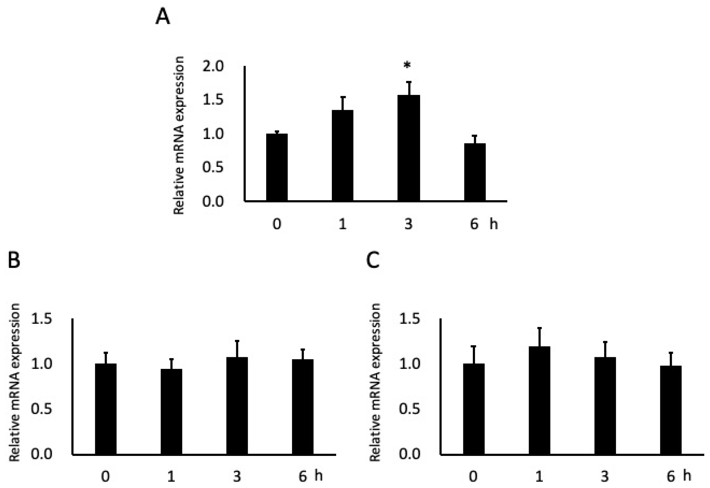 Effect of Butyric Acid in the Proliferation and Migration of