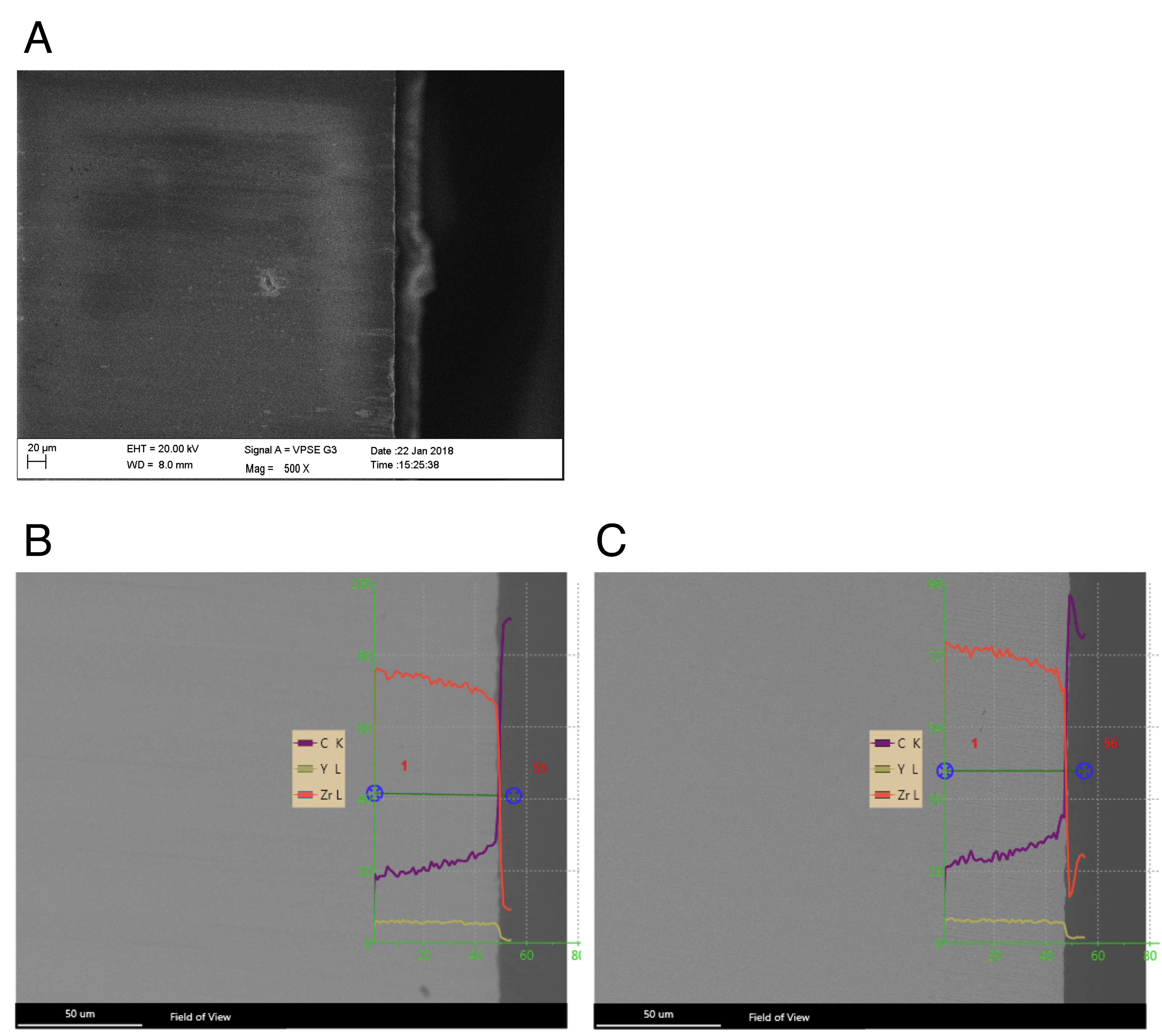 Dentistry 09 00059 g002