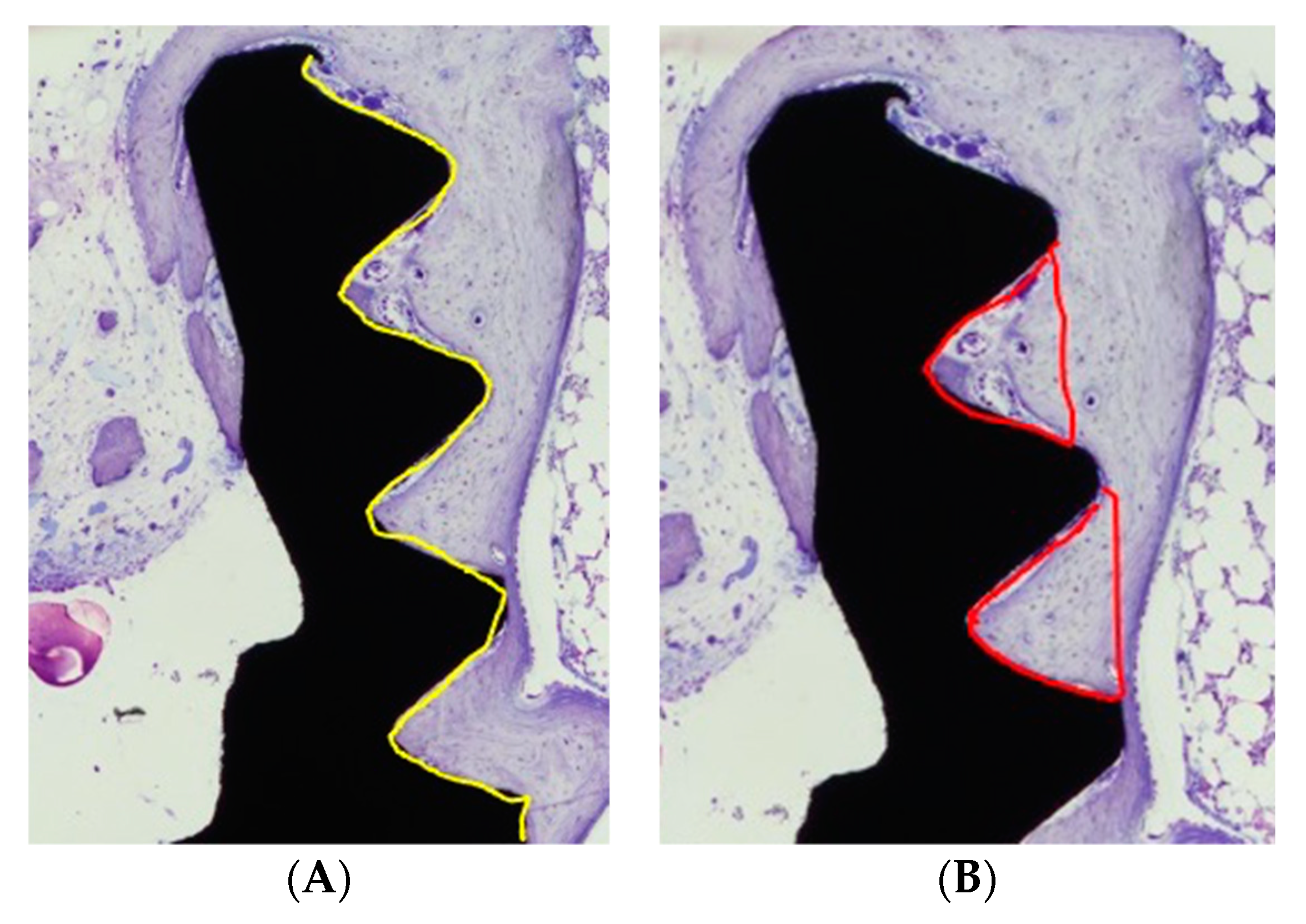Dentistry 09 00063 g002