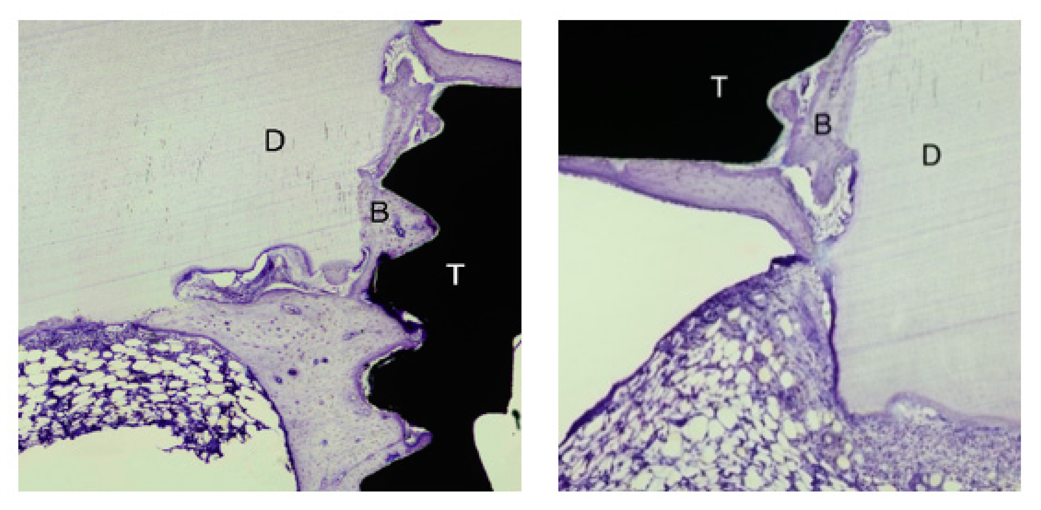Dentistry 09 00063 g006