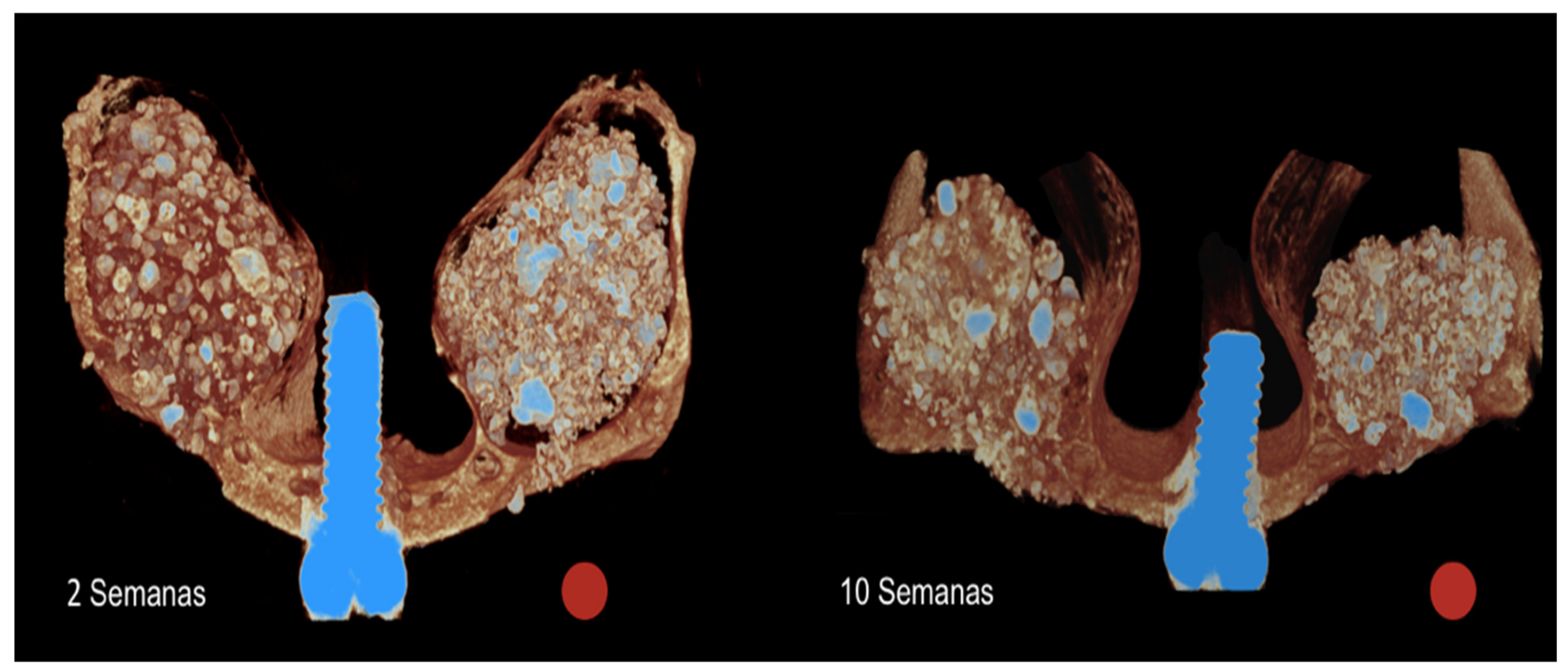 Dentistry 09 00065 g005