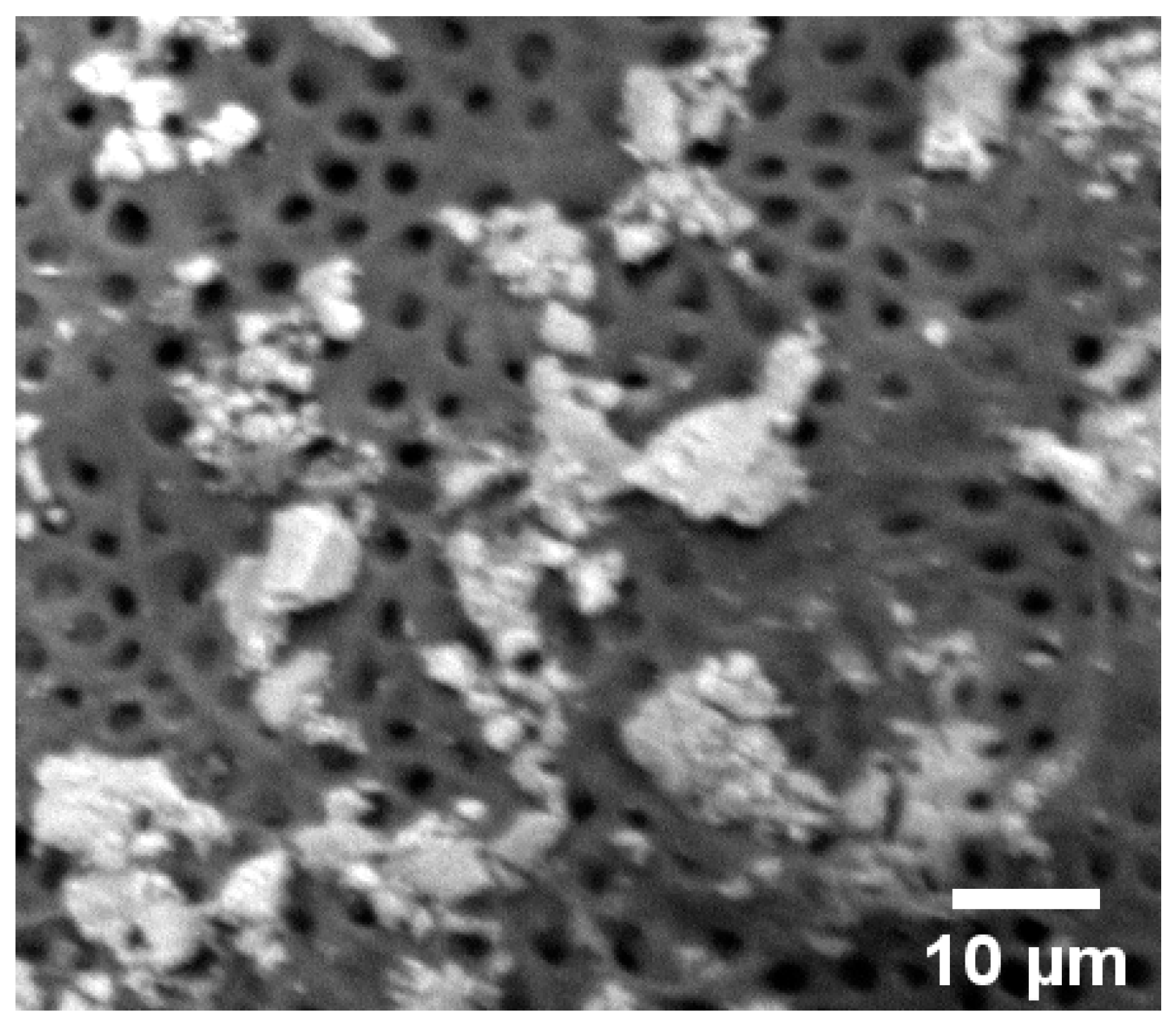 Dentistry 09 00067 g001