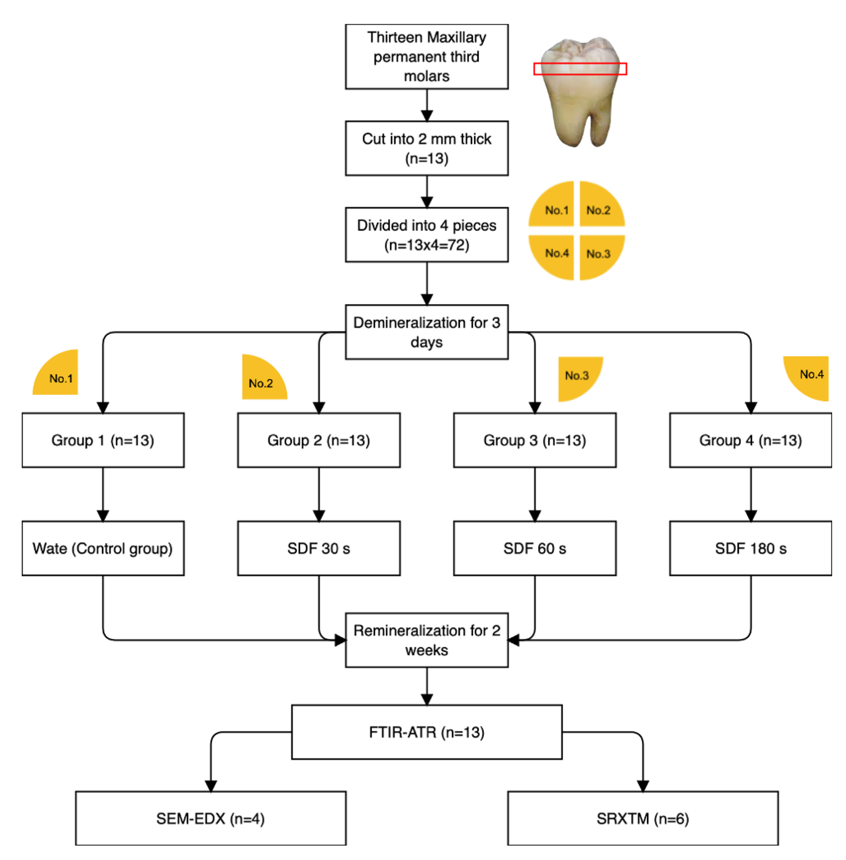 Dentistry 09 00070 g001