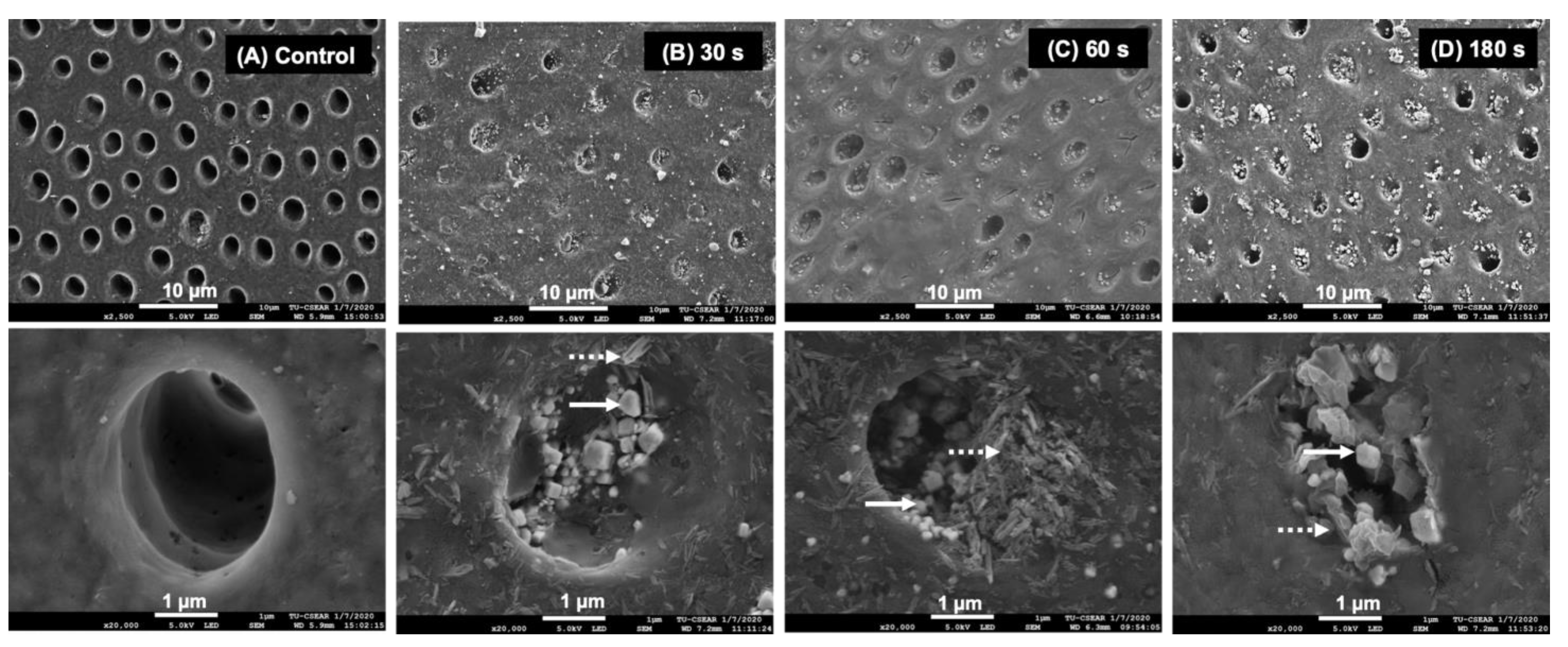 Dentistry 09 00070 g004