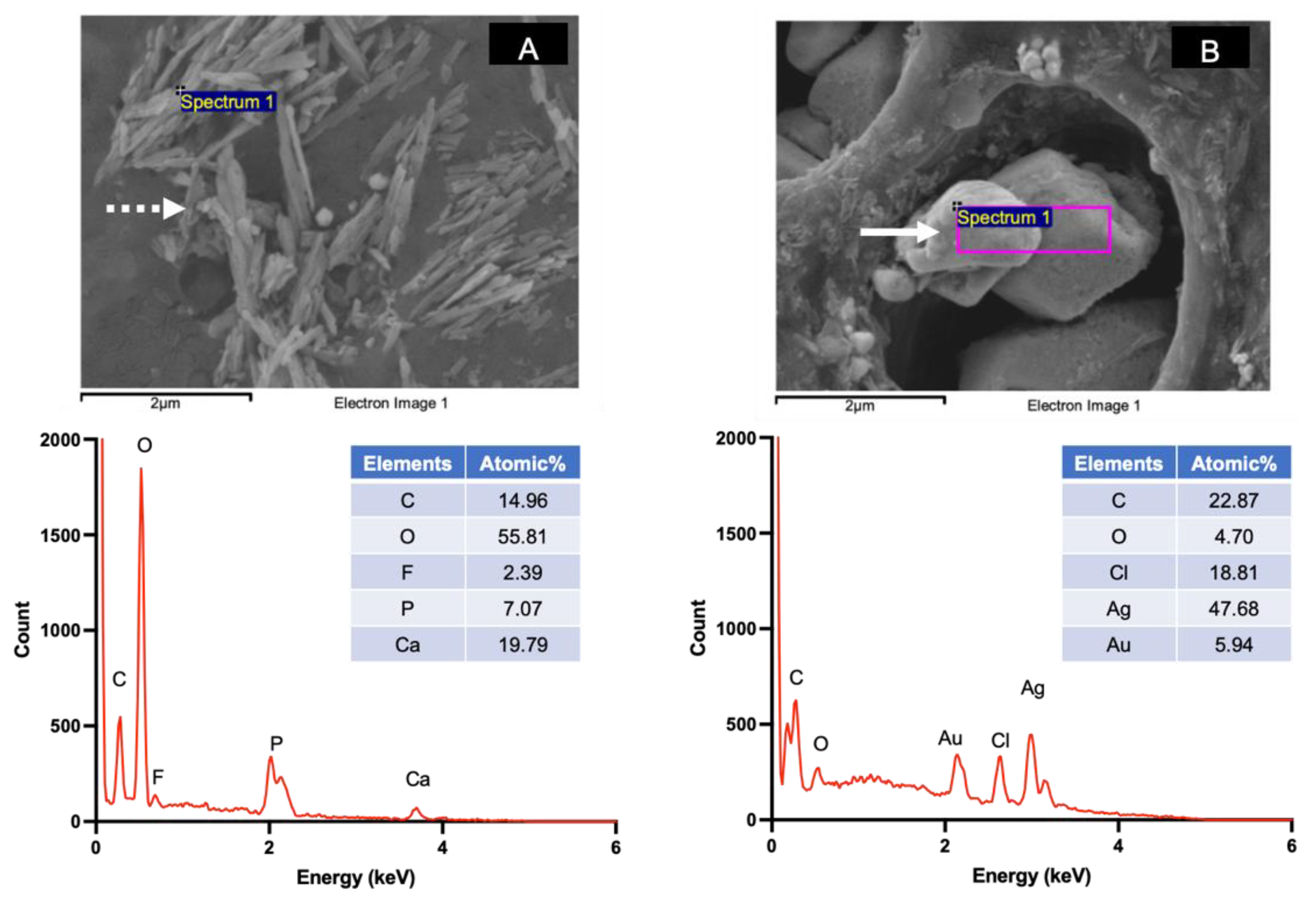 Dentistry 09 00070 g005