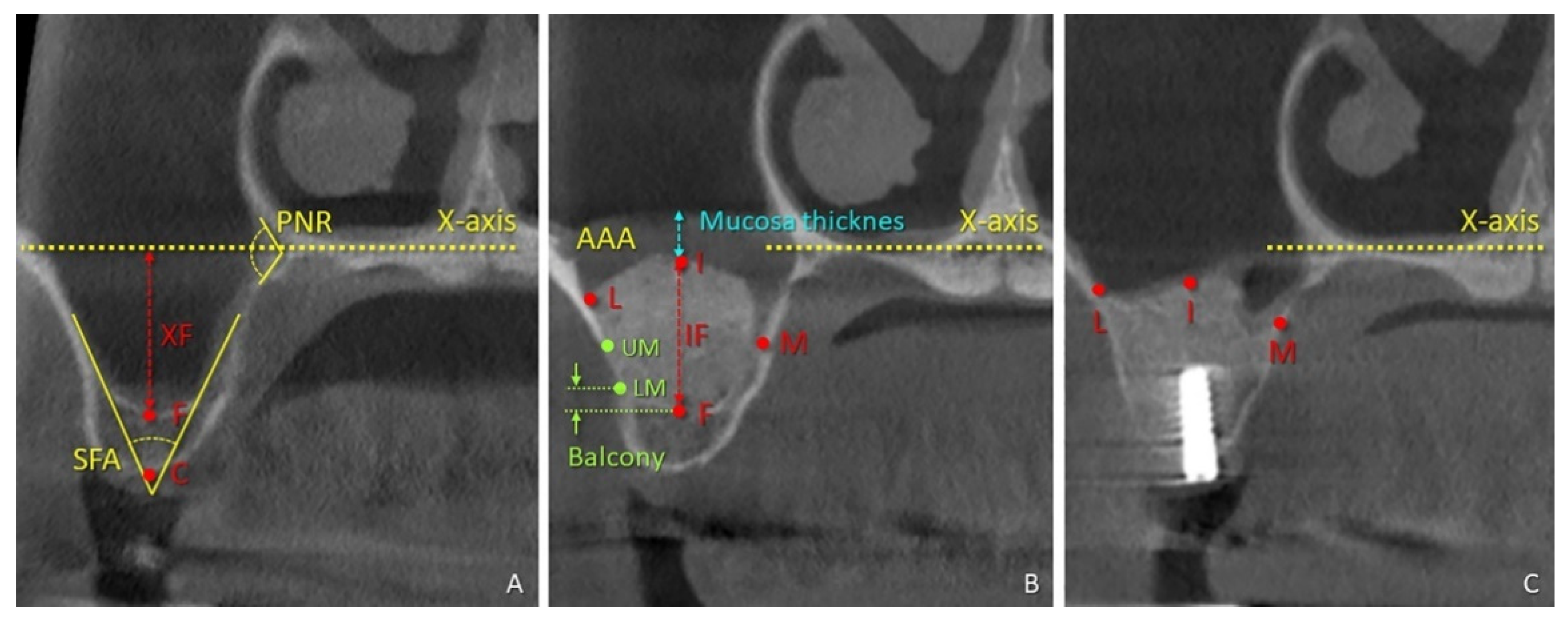 Dentistry 09 00076 g001