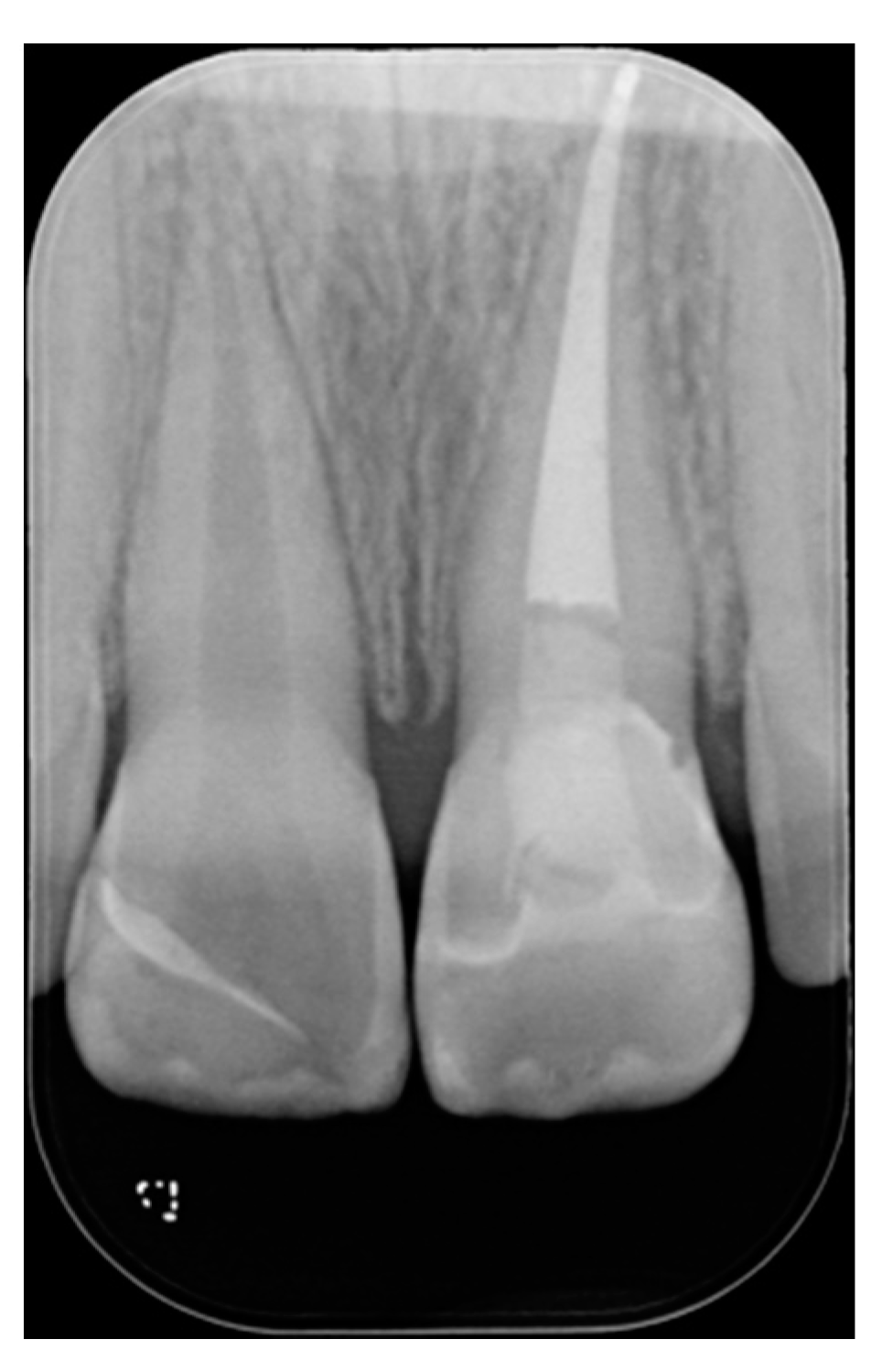 Dentistry 09 00079 g039 550