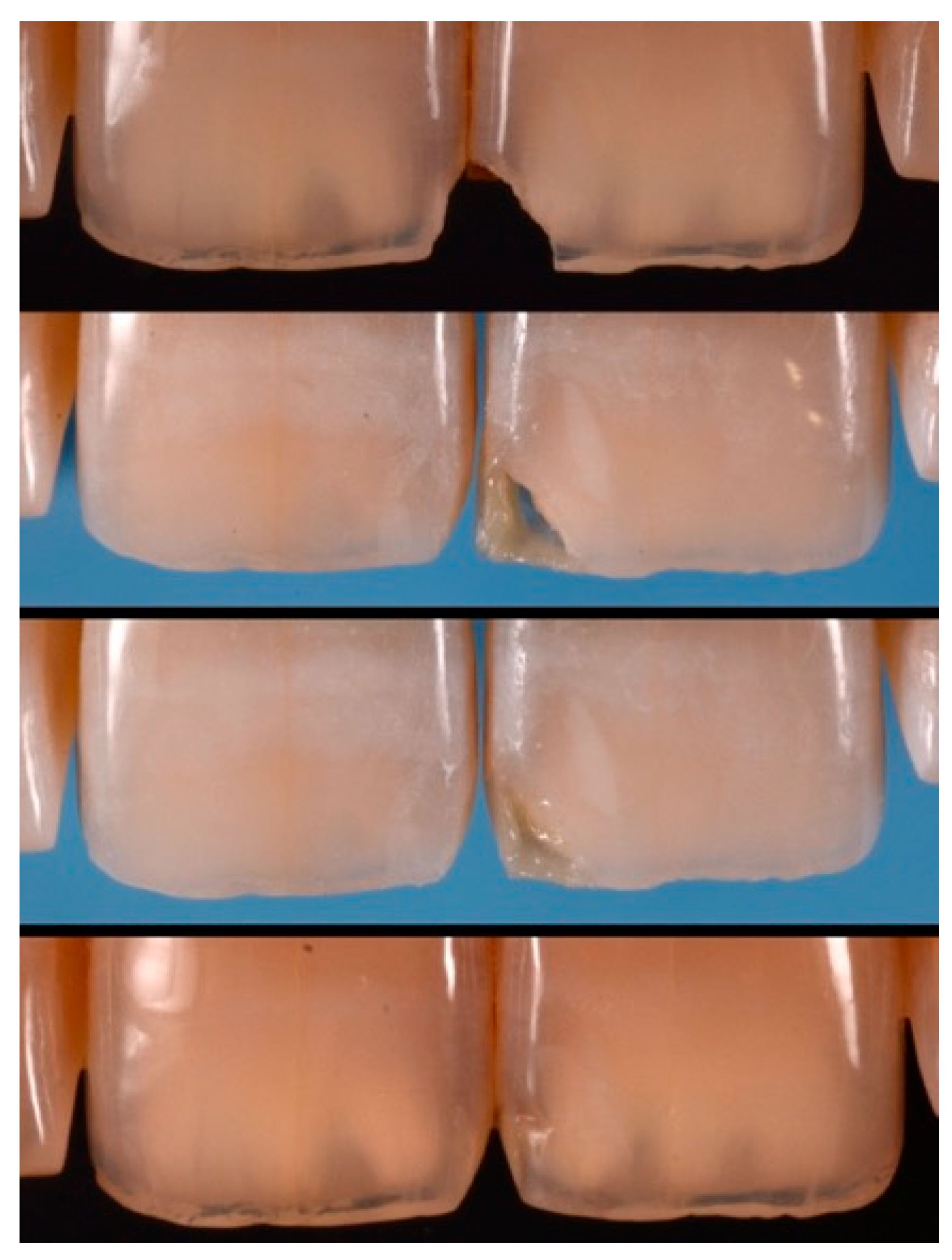 Dentistry 09 00079 g040 550