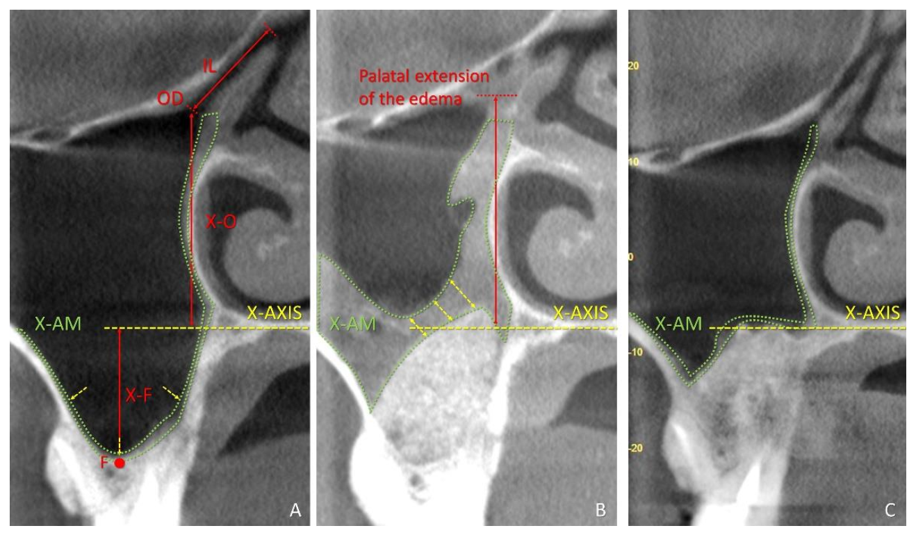 Dentistry 09 00082 g001 550