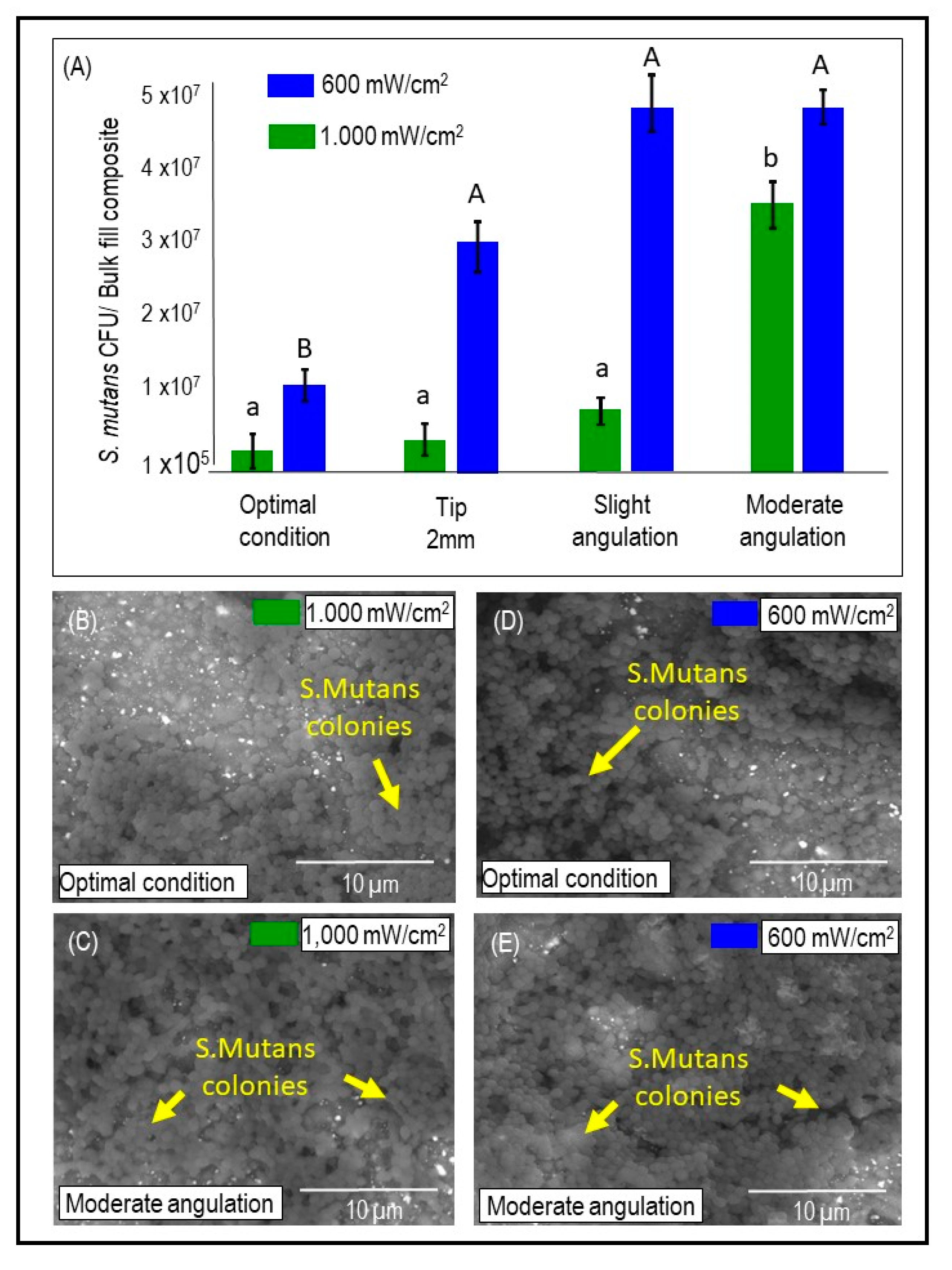 Dentistry 09 00083 g005 550