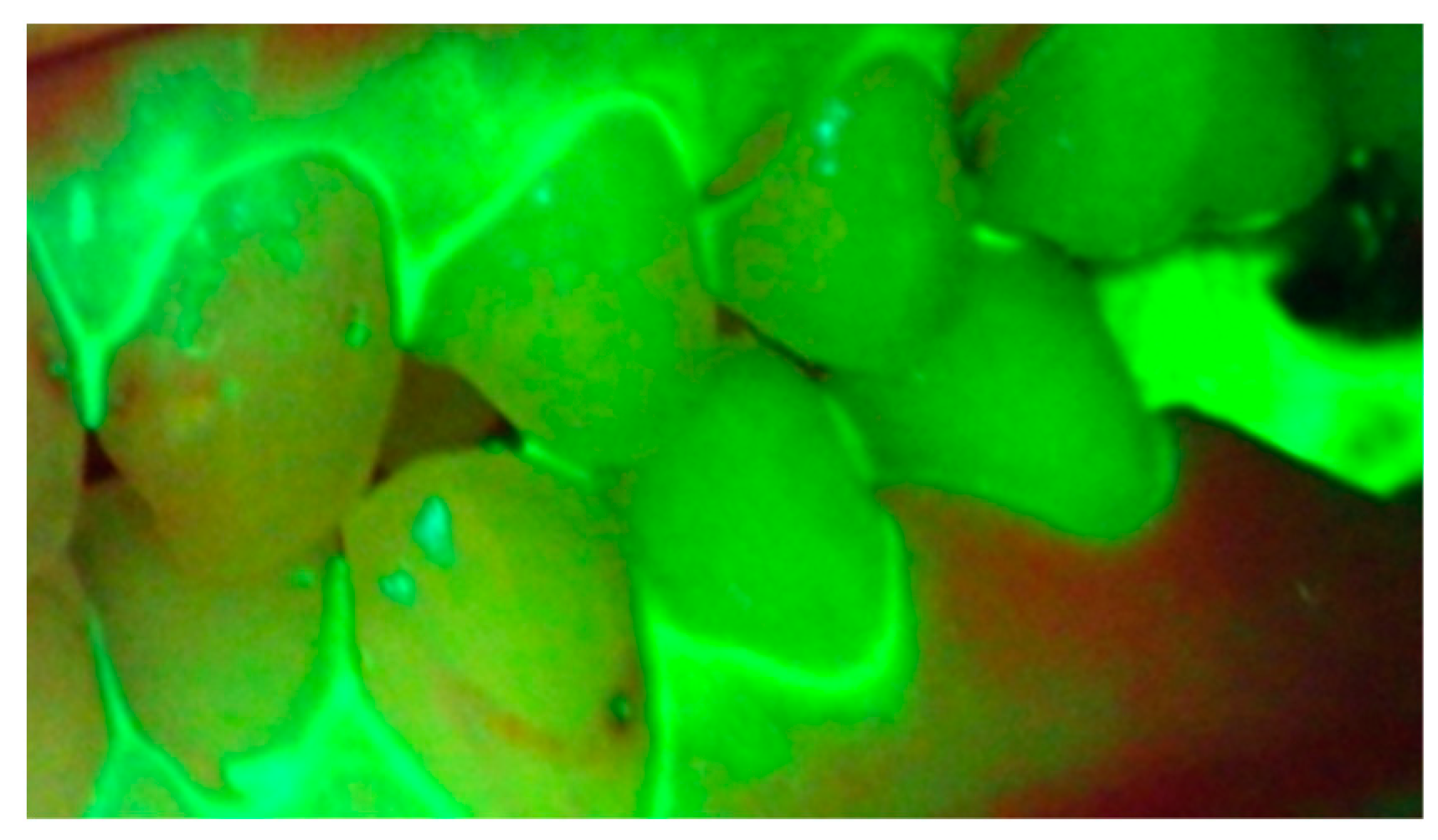 Dentistry 09 00090 g002