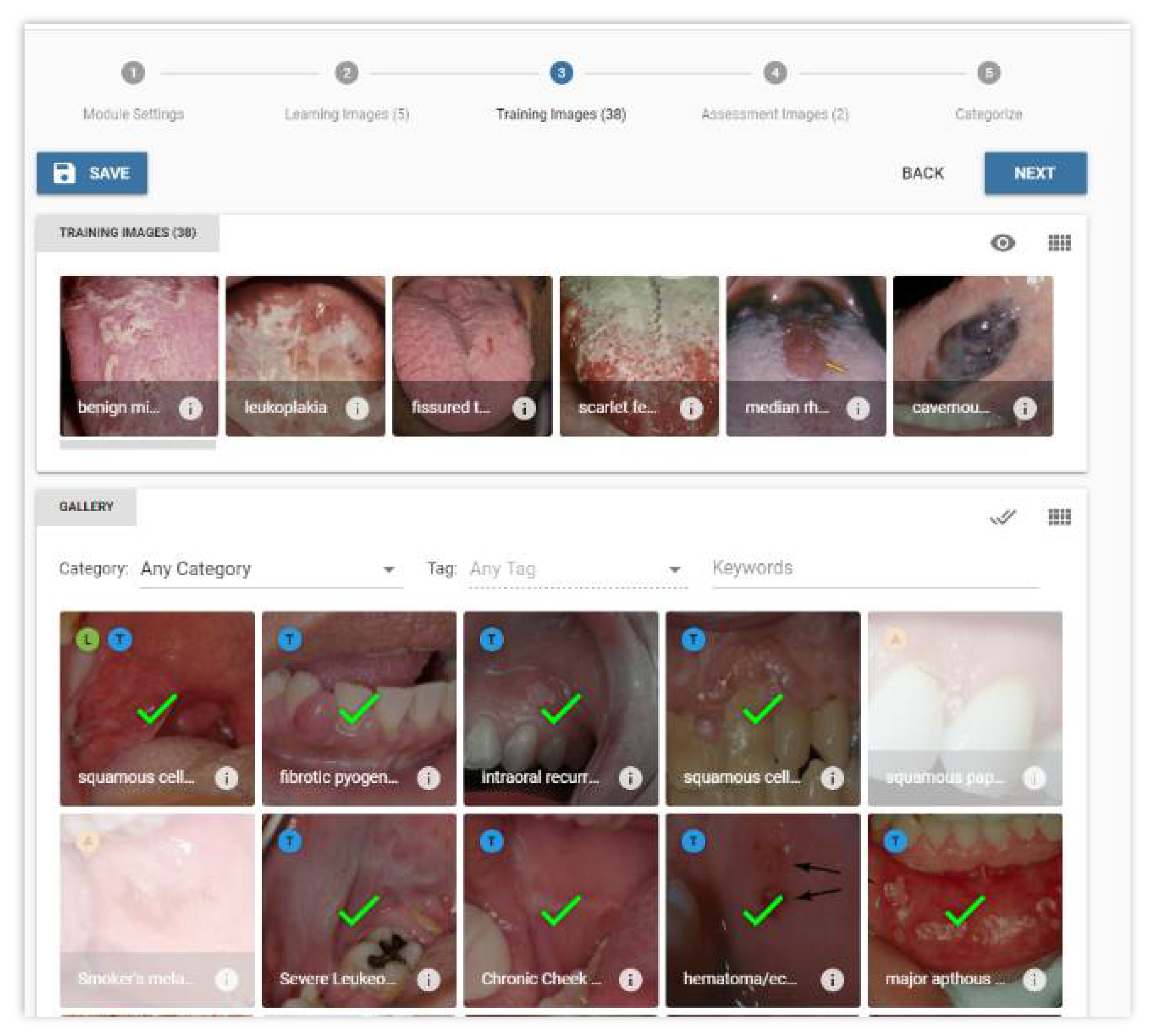 Dentistry 09 00094 g002 550