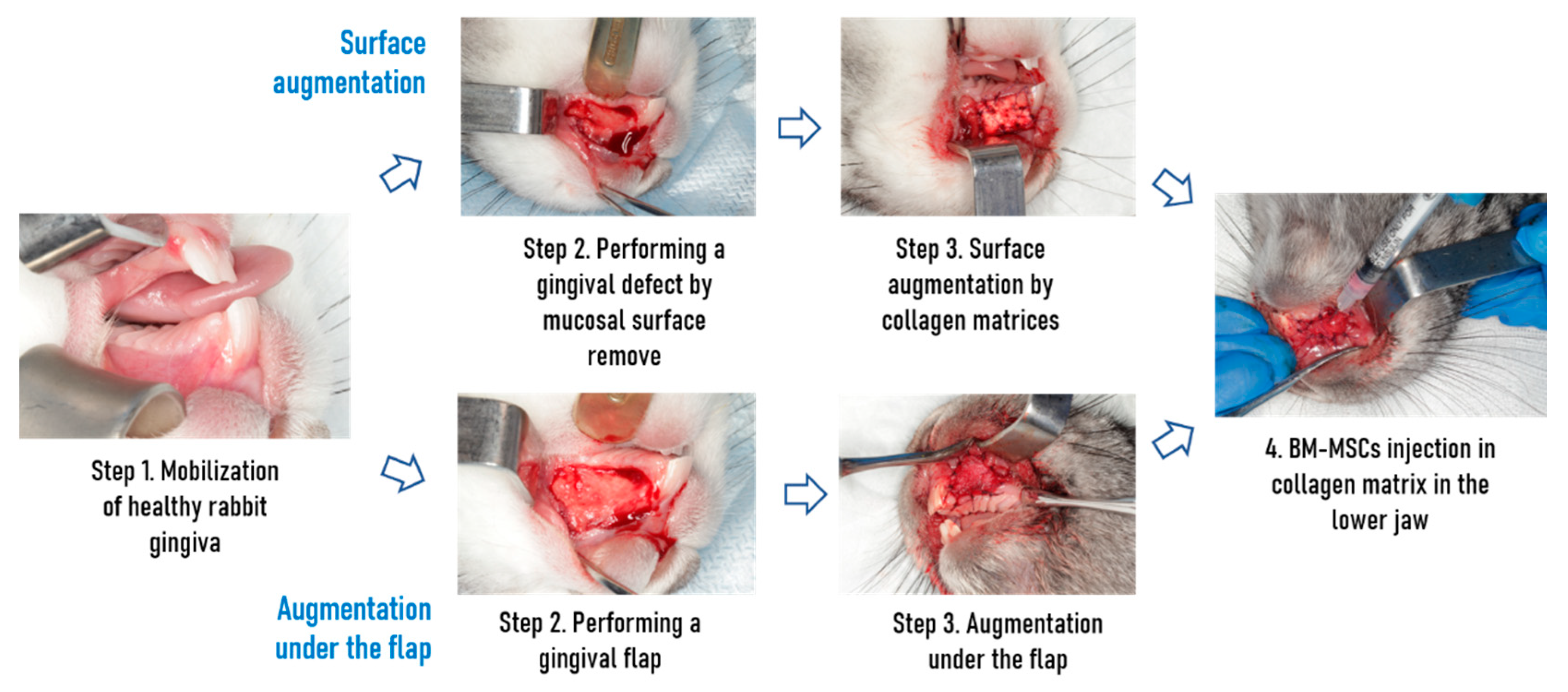 Dentistry 09 00101 g001 550