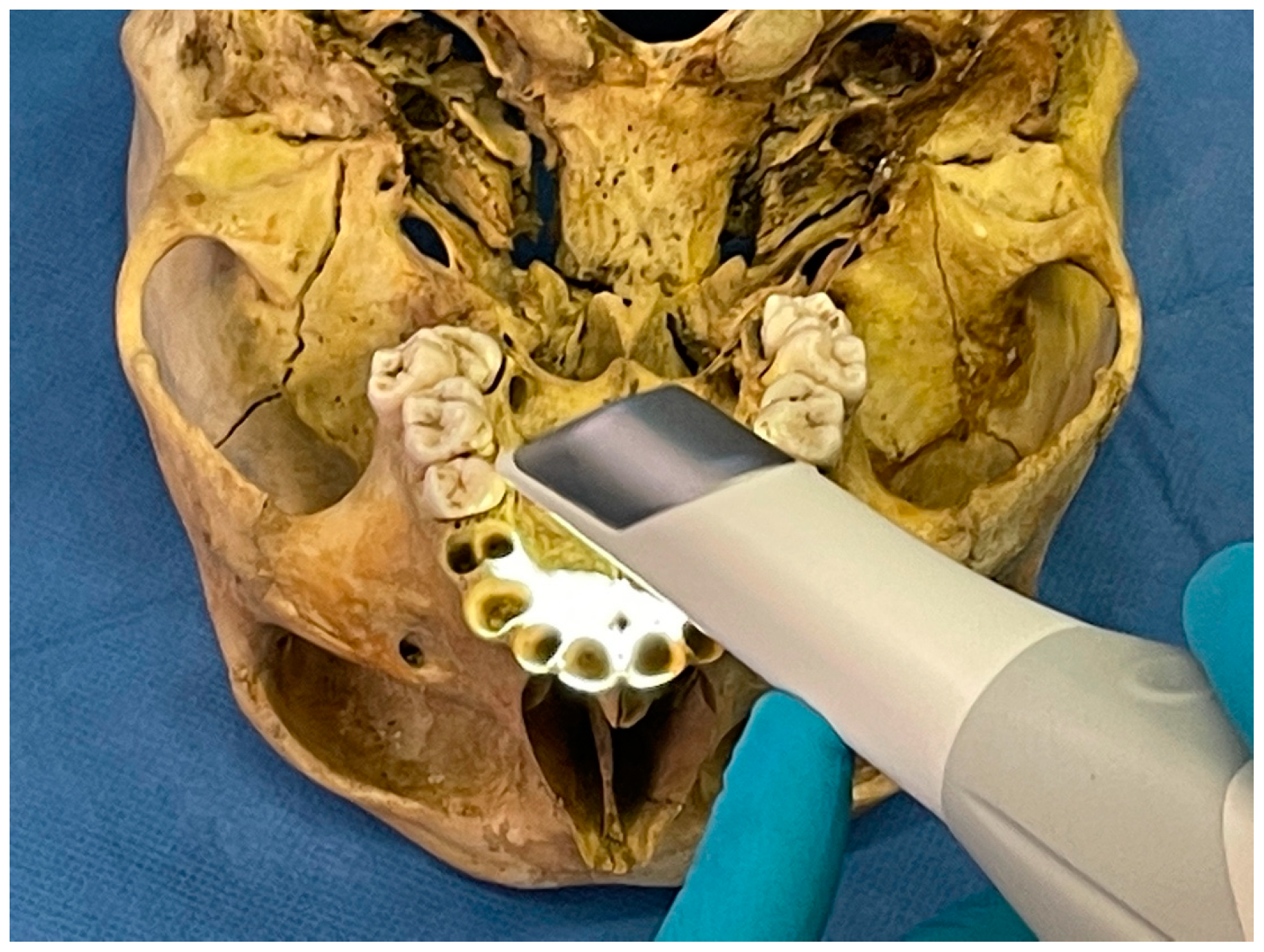 Dentistry 09 00102 g003 Dentistry 09 00102 g003