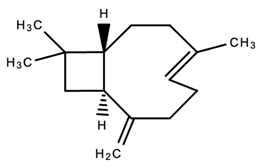 Dentistry 09 00106 i008 Dentistry 09 00106 i008