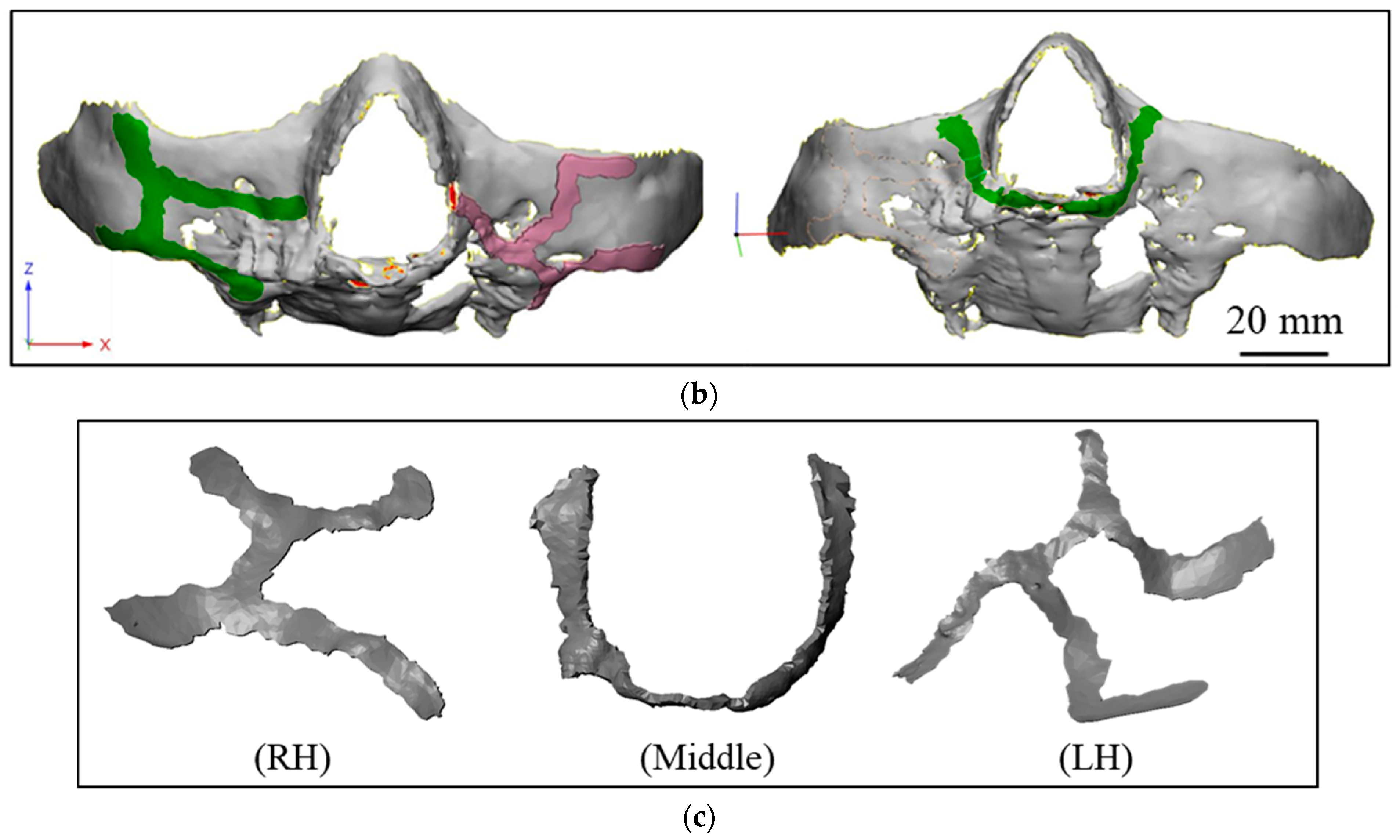 Dentistry 09 00109 g003b