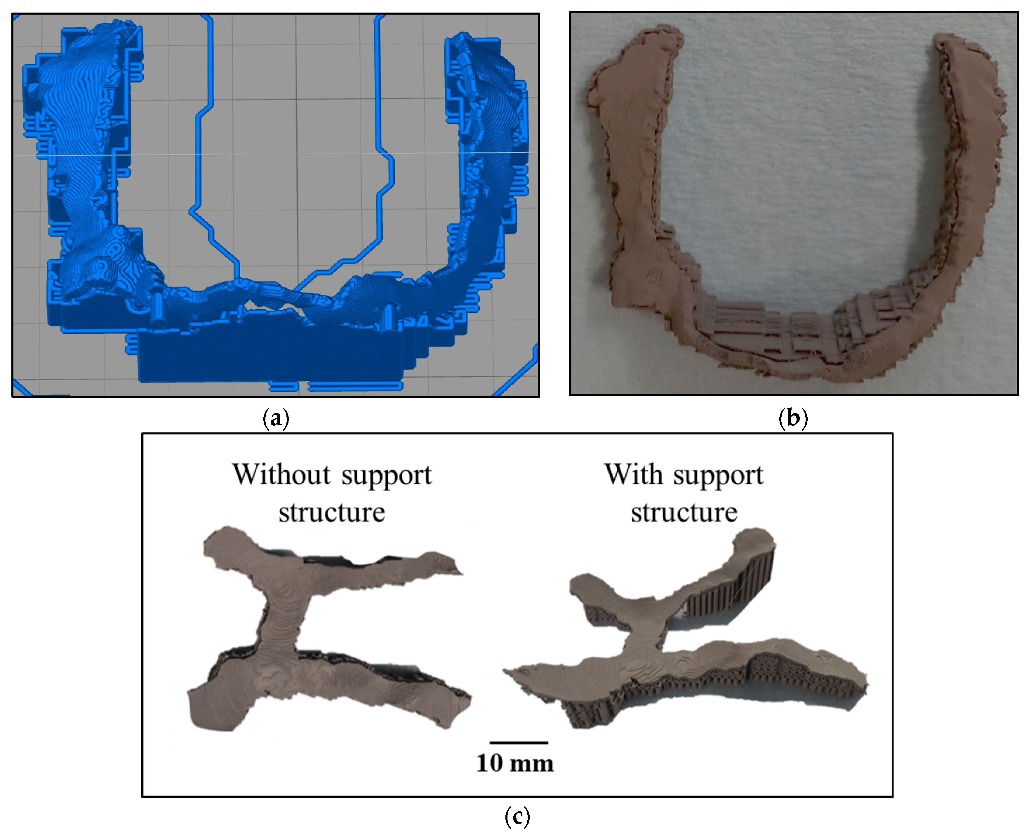 Dentistry 09 00109 g004