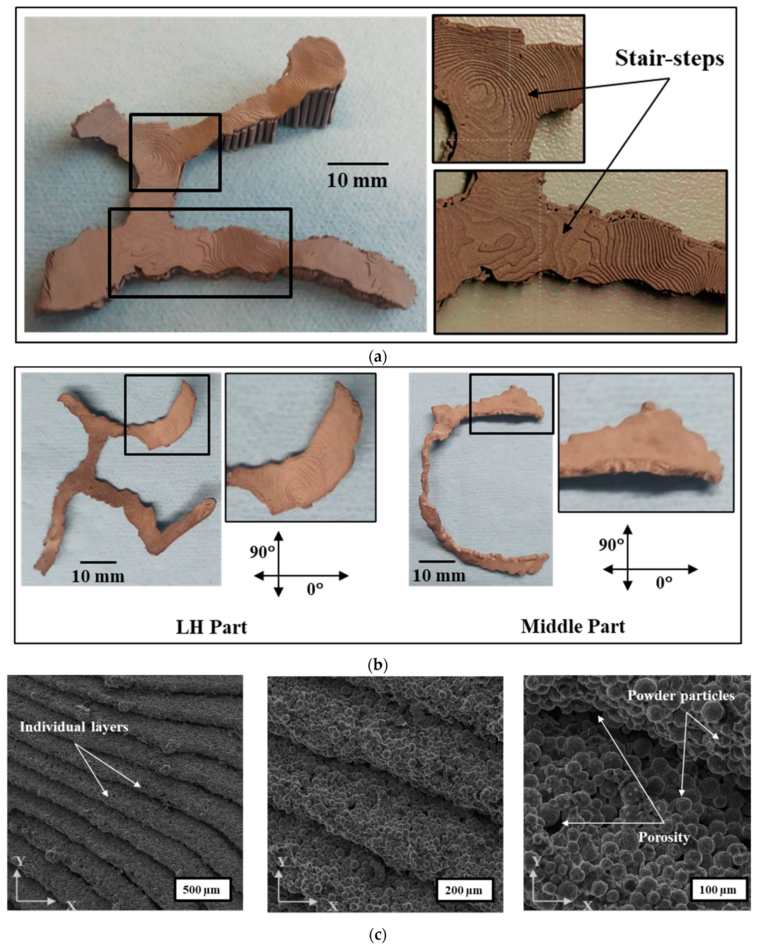 Dentistry 09 00109 g009
