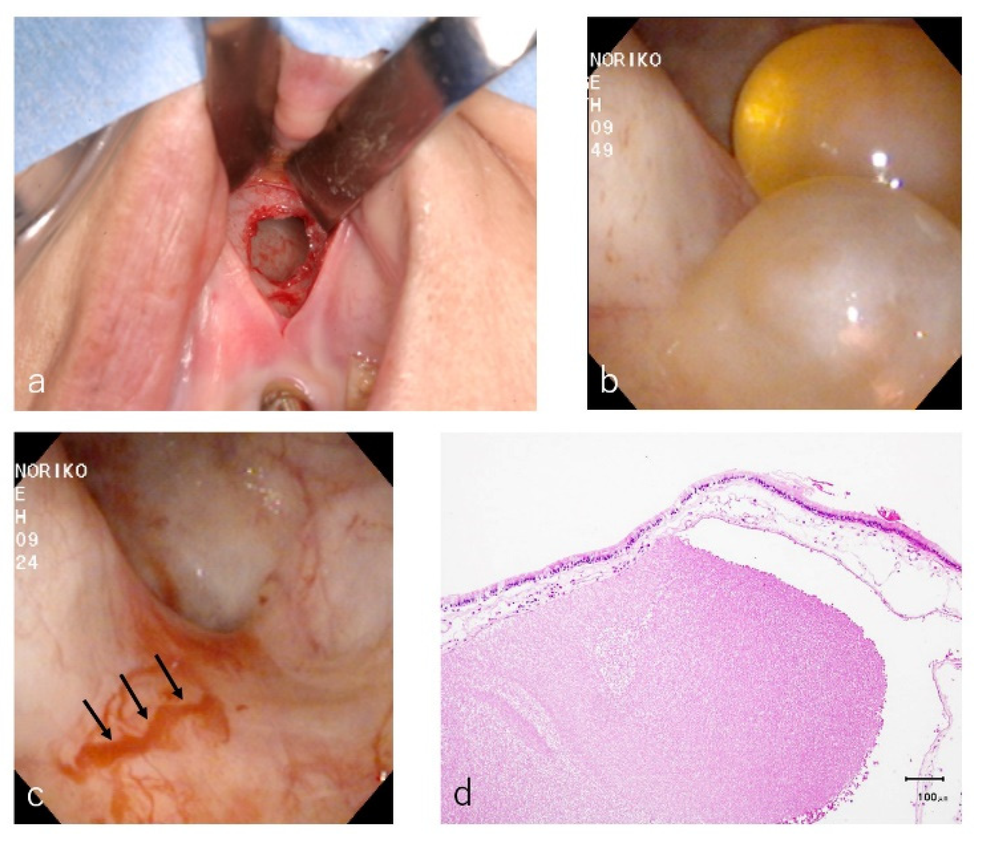 Dentistry 09 00122 g002 550