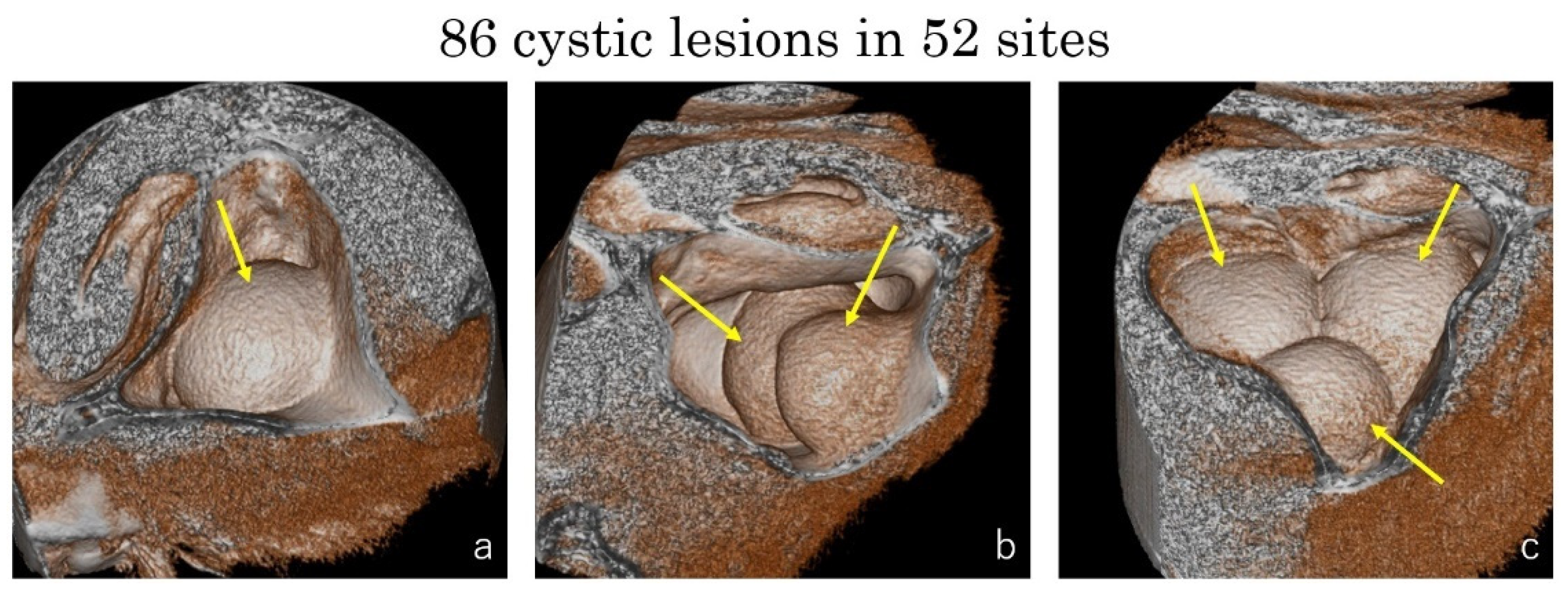 Dentistry 09 00122 g007 550