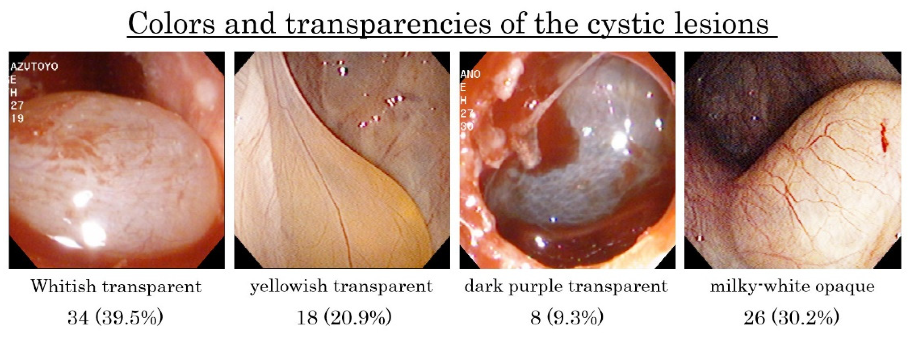 Dentistry 09 00122 g010 550