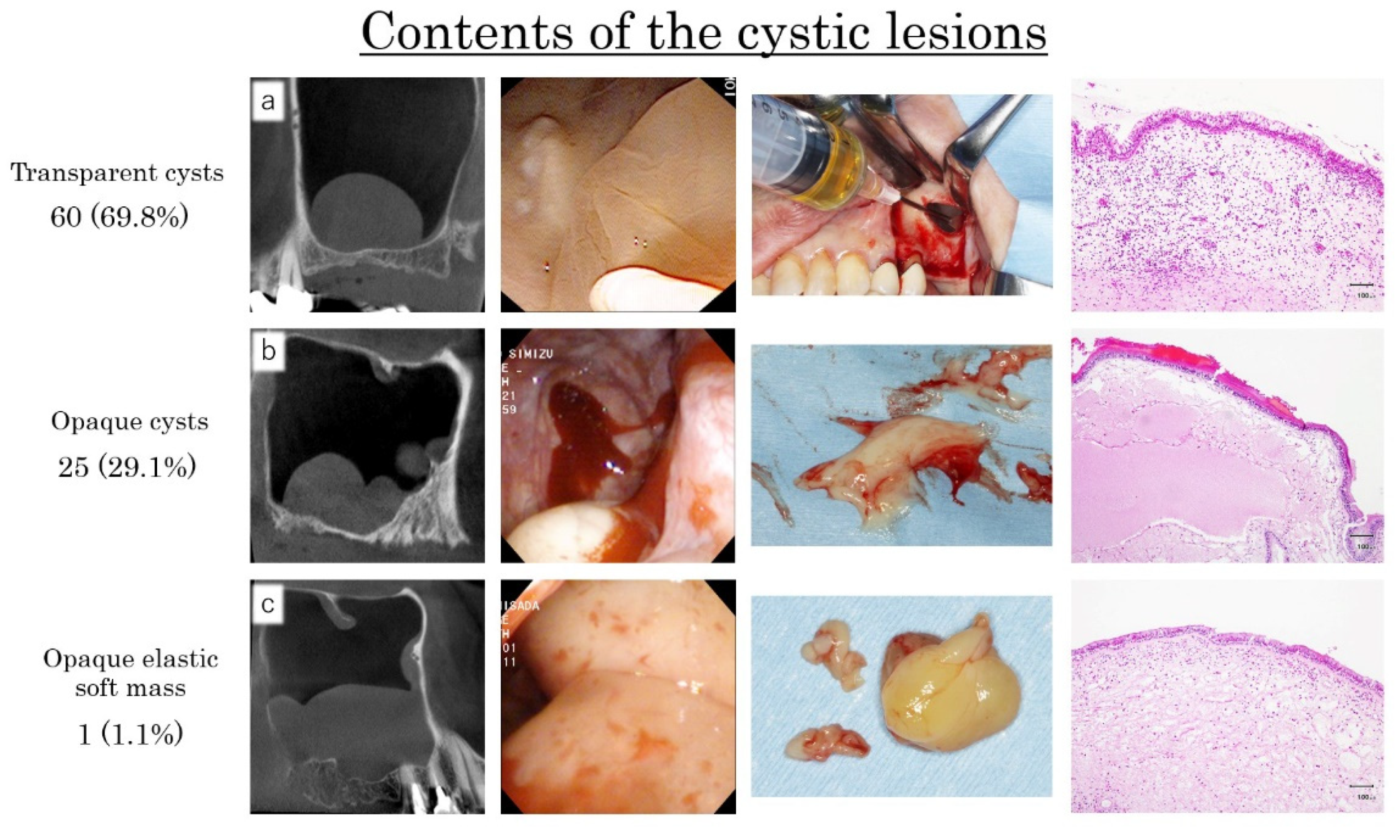 Dentistry 09 00122 g011 550